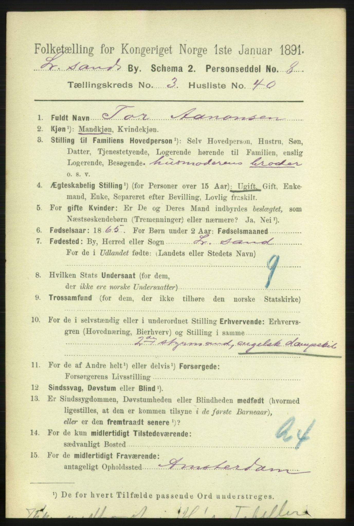 RA, 1891 census for 0905 Lillesand, 1891, p. 1016