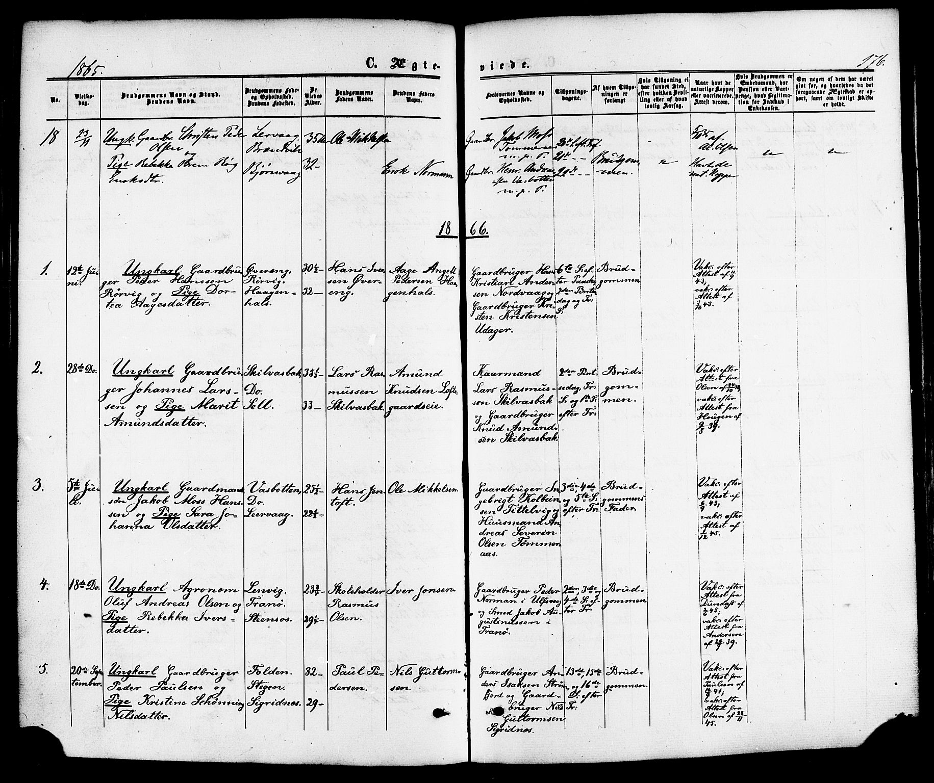 Ministerialprotokoller, klokkerbøker og fødselsregistre - Nordland, AV/SAT-A-1459/859/L0845: Parish register (official) no. 859A05, 1863-1877, p. 176