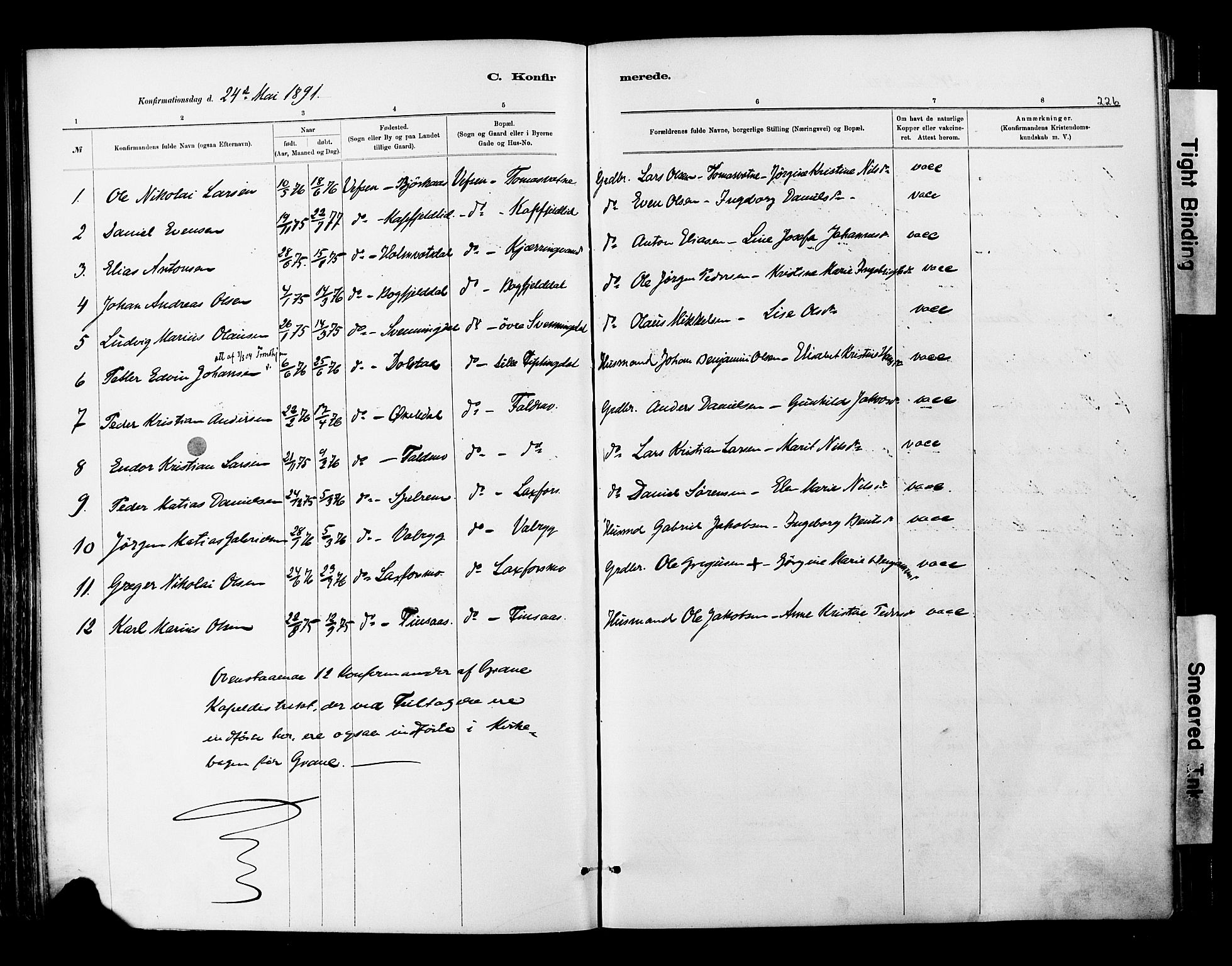 Ministerialprotokoller, klokkerbøker og fødselsregistre - Nordland, SAT/A-1459/820/L0295: Parish register (official) no. 820A16, 1880-1896, p. 226