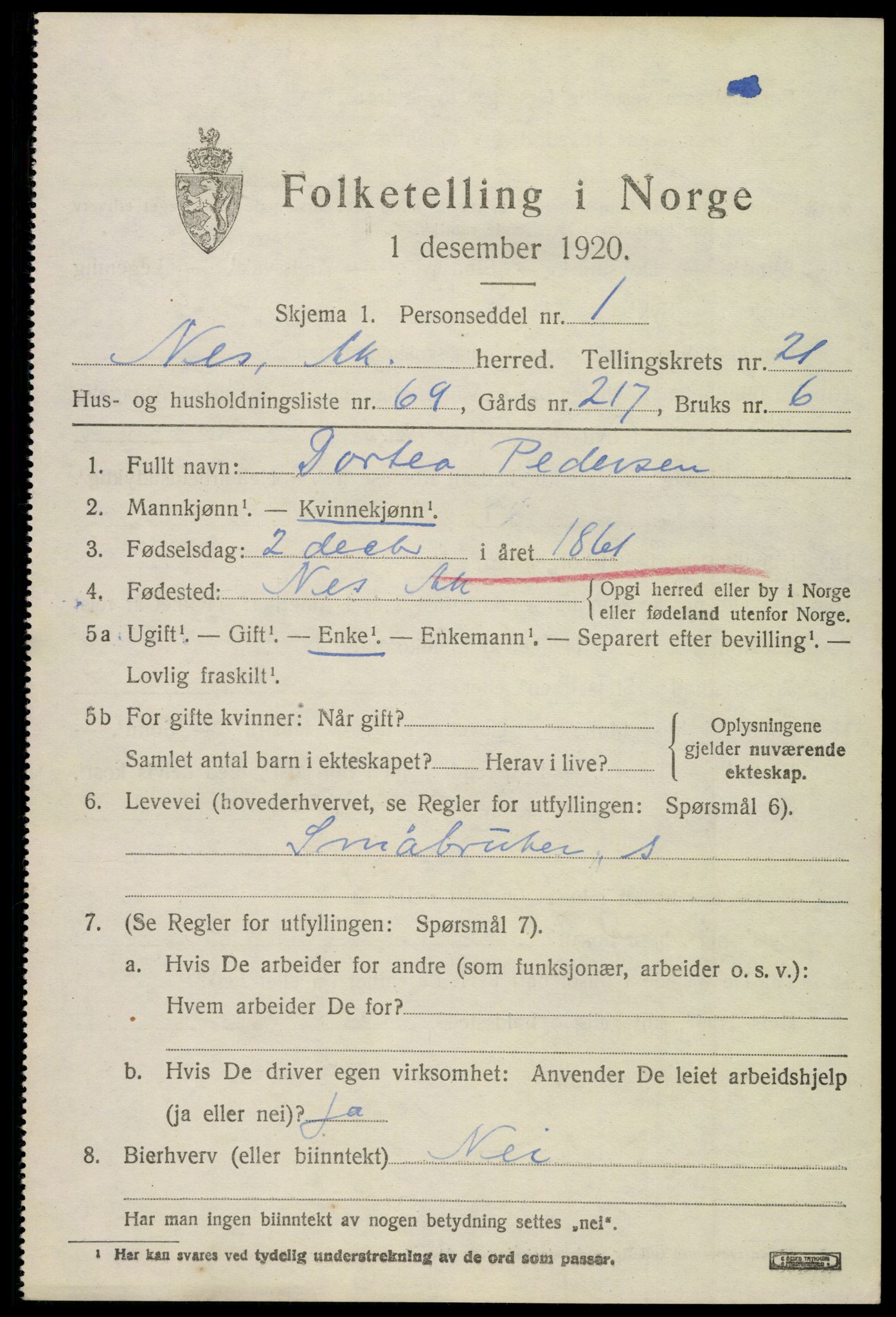 SAO, 1920 census for Nes, 1920, p. 22648