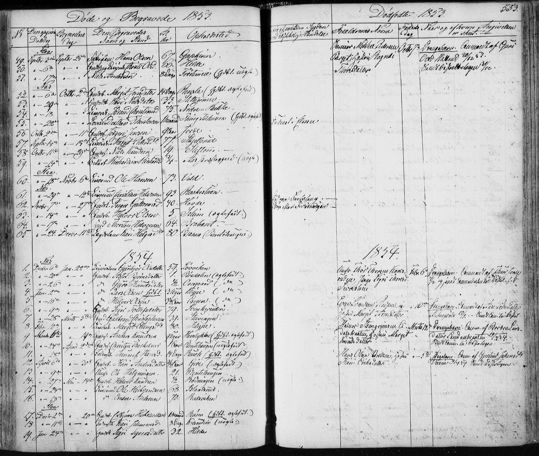 Nes kirkebøker, AV/SAKO-A-236/F/Fa/L0009: Parish register (official) no. 9, 1834-1863, p. 553