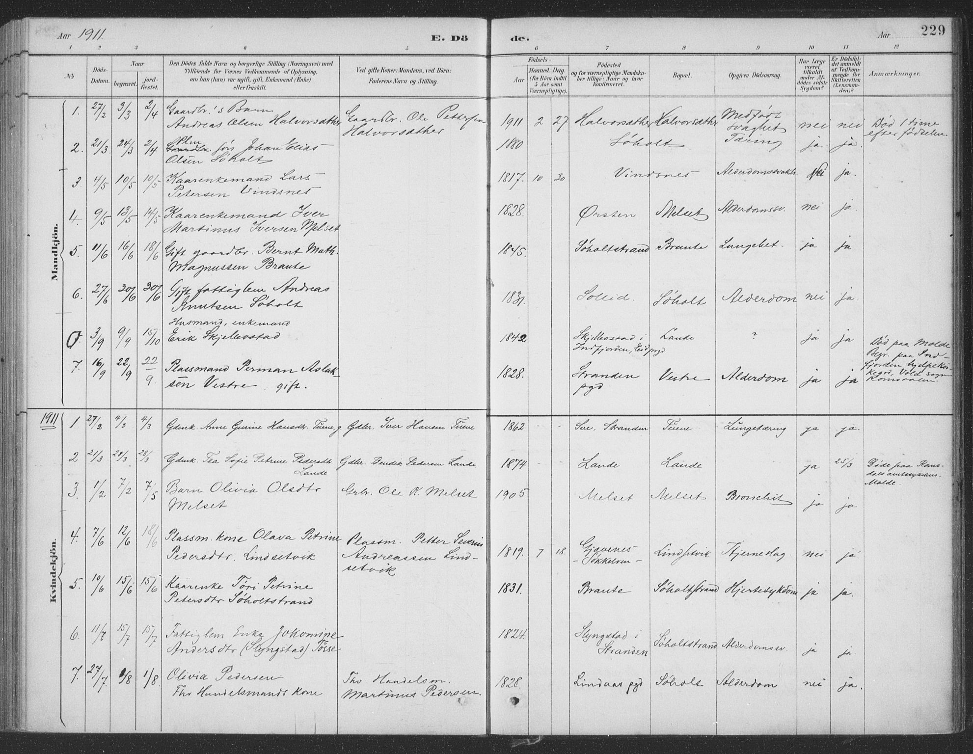 Ministerialprotokoller, klokkerbøker og fødselsregistre - Møre og Romsdal, SAT/A-1454/522/L0316: Parish register (official) no. 522A11, 1890-1911, p. 229