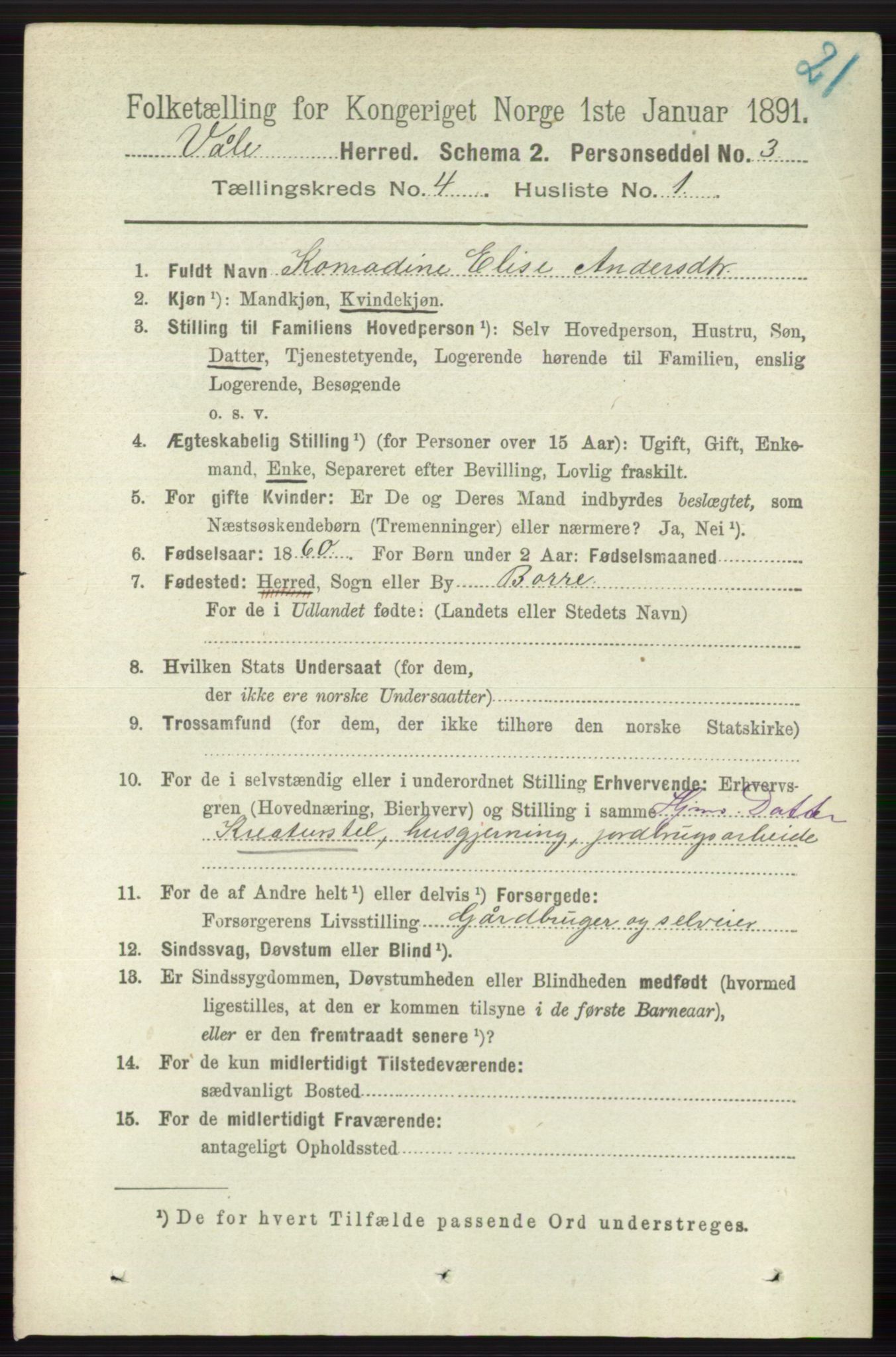 RA, 1891 census for 0716 Våle, 1891, p. 989