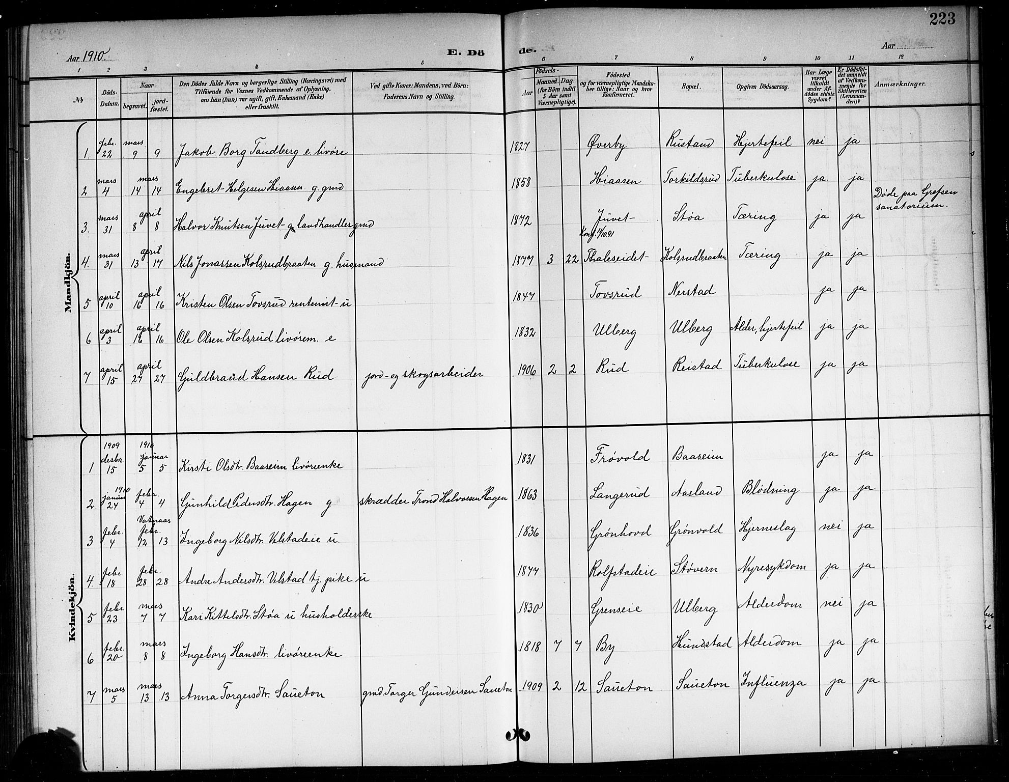 Sigdal kirkebøker, SAKO/A-245/G/Ga/L0006: Parish register (copy) no. I 6, 1901-1916, p. 223