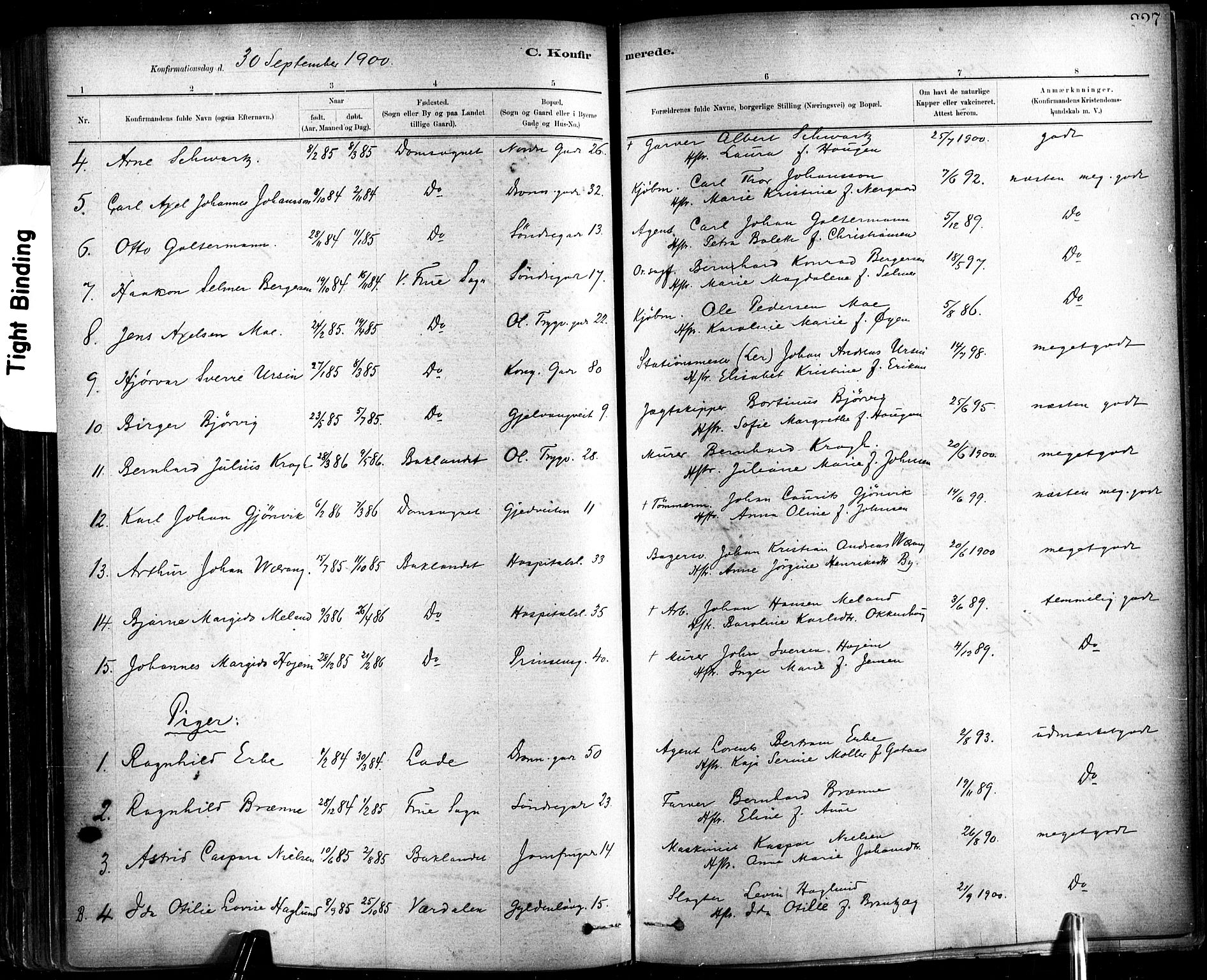 Ministerialprotokoller, klokkerbøker og fødselsregistre - Sør-Trøndelag, SAT/A-1456/602/L0119: Parish register (official) no. 602A17, 1880-1901, p. 227