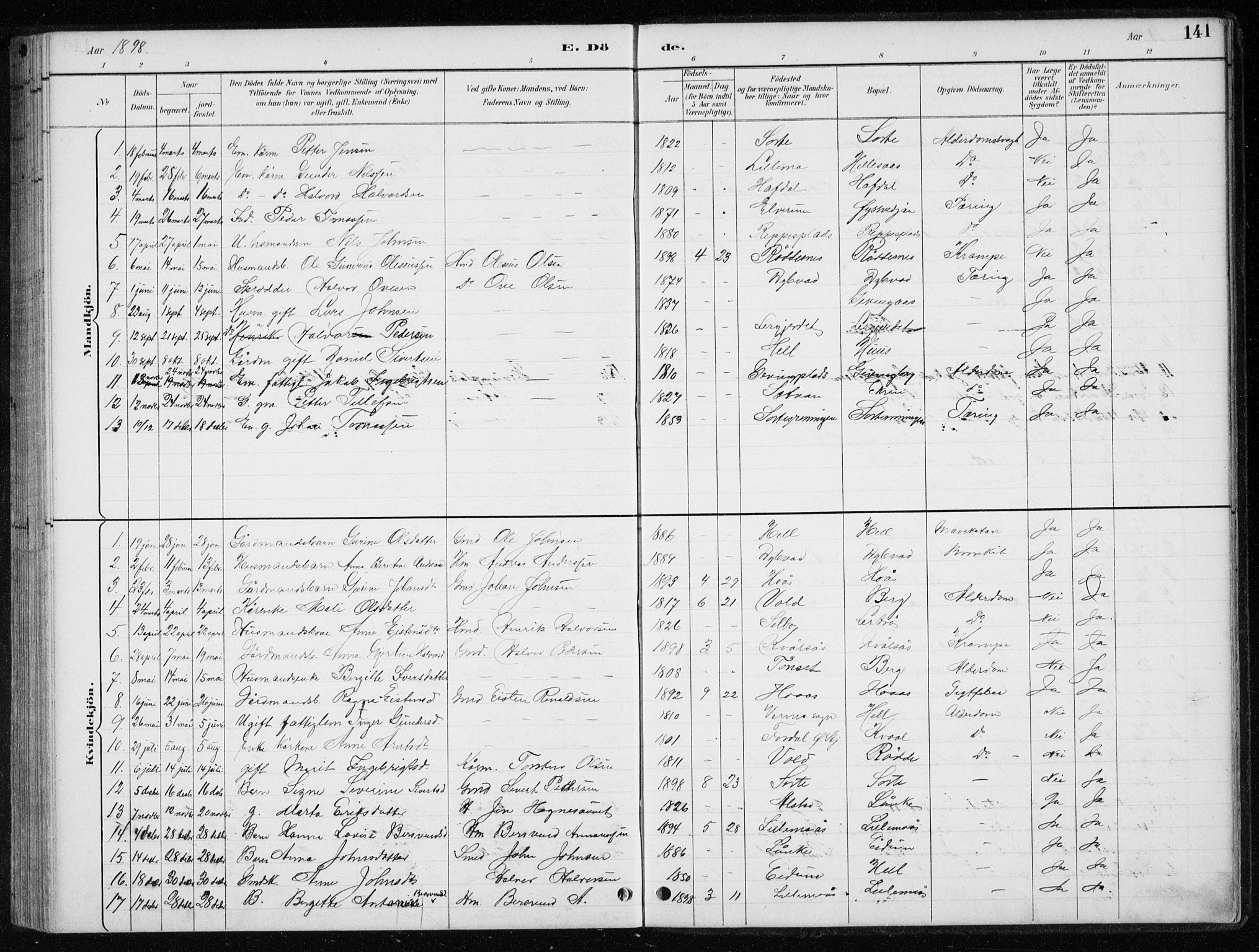 Ministerialprotokoller, klokkerbøker og fødselsregistre - Nord-Trøndelag, SAT/A-1458/710/L0096: Parish register (copy) no. 710C01, 1892-1925, p. 141