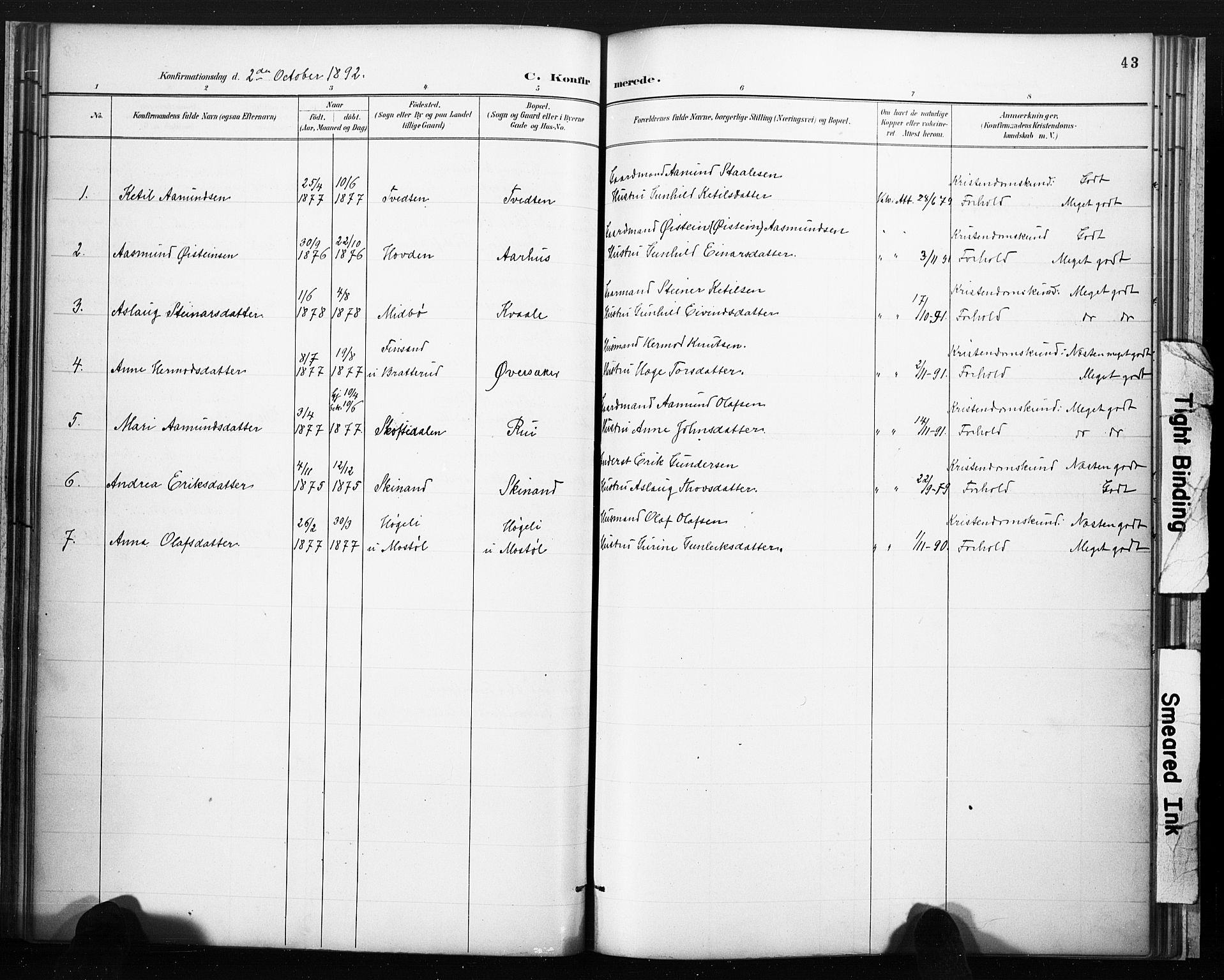 Lårdal kirkebøker, SAKO/A-284/F/Fc/L0002: Parish register (official) no. III 2, 1887-1906, p. 43