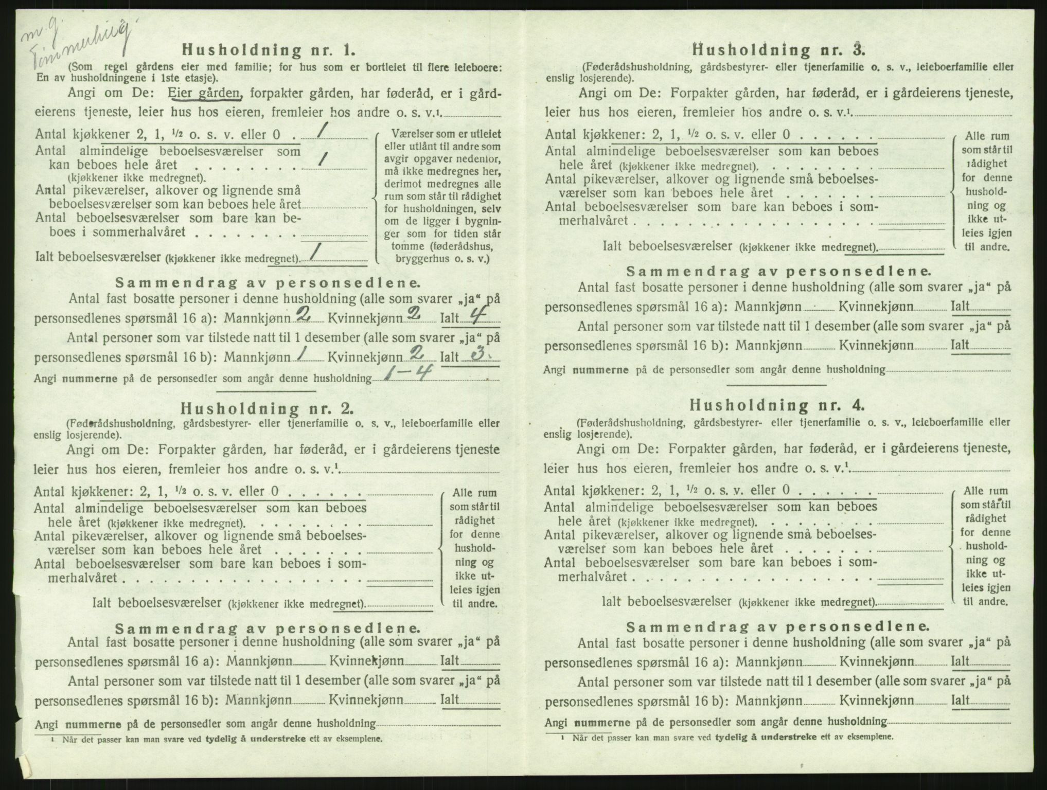SAH, 1920 census for Trysil, 1920, p. 2516