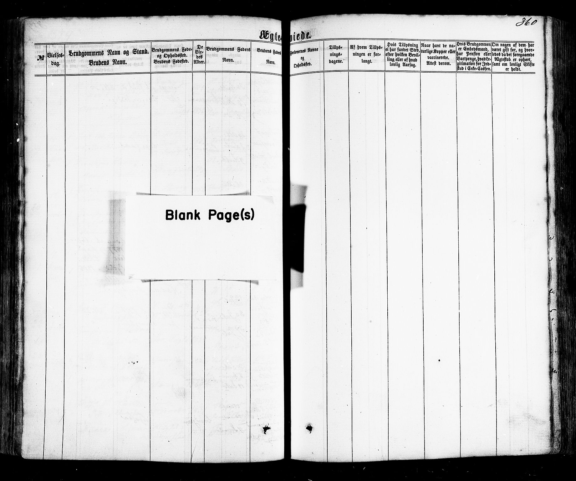 Ministerialprotokoller, klokkerbøker og fødselsregistre - Nordland, AV/SAT-A-1459/805/L0098: Parish register (official) no. 805A05, 1862-1879, p. 360