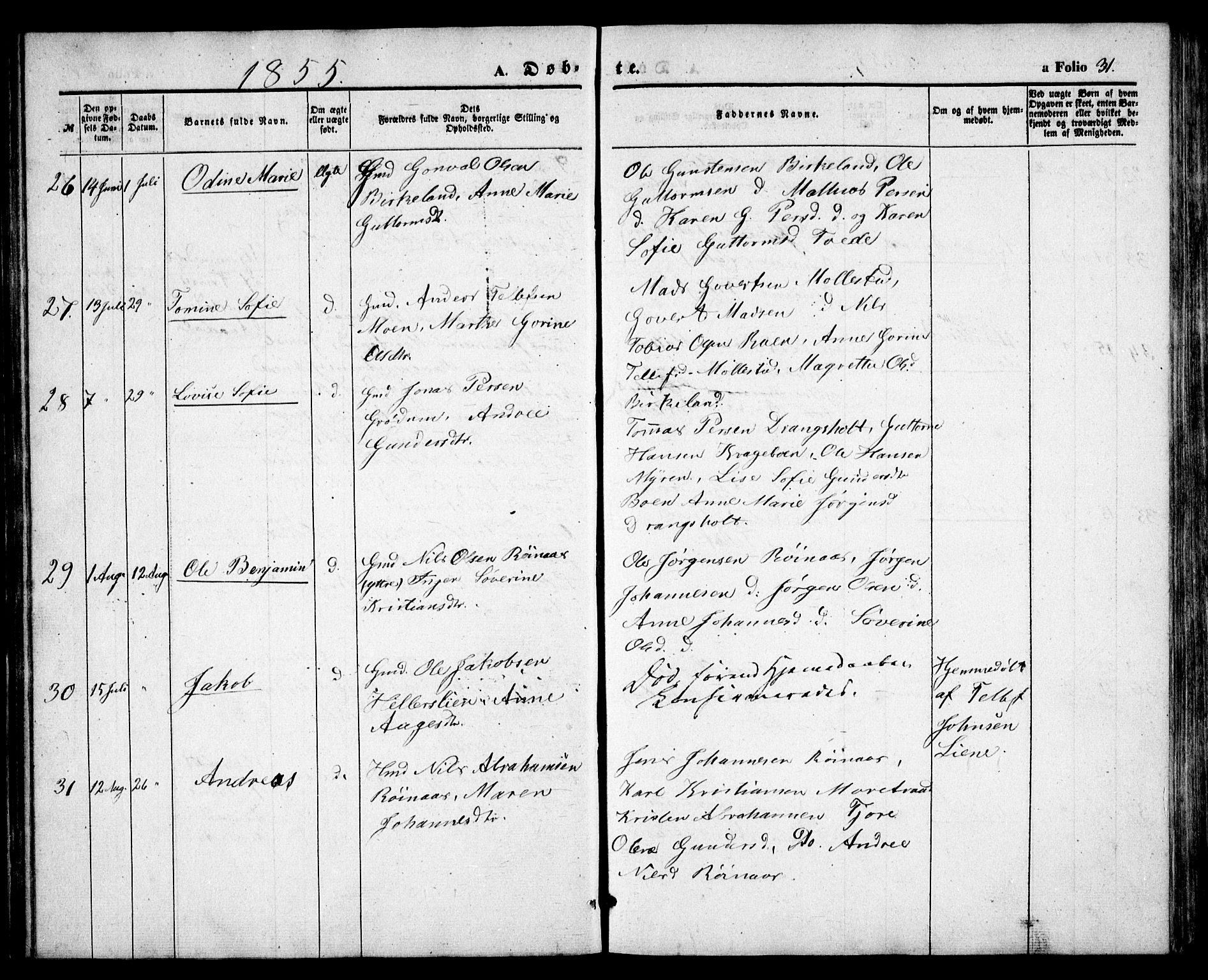 Birkenes sokneprestkontor, AV/SAK-1111-0004/F/Fb/L0002: Parish register (copy) no. B 2, 1849-1876, p. 31