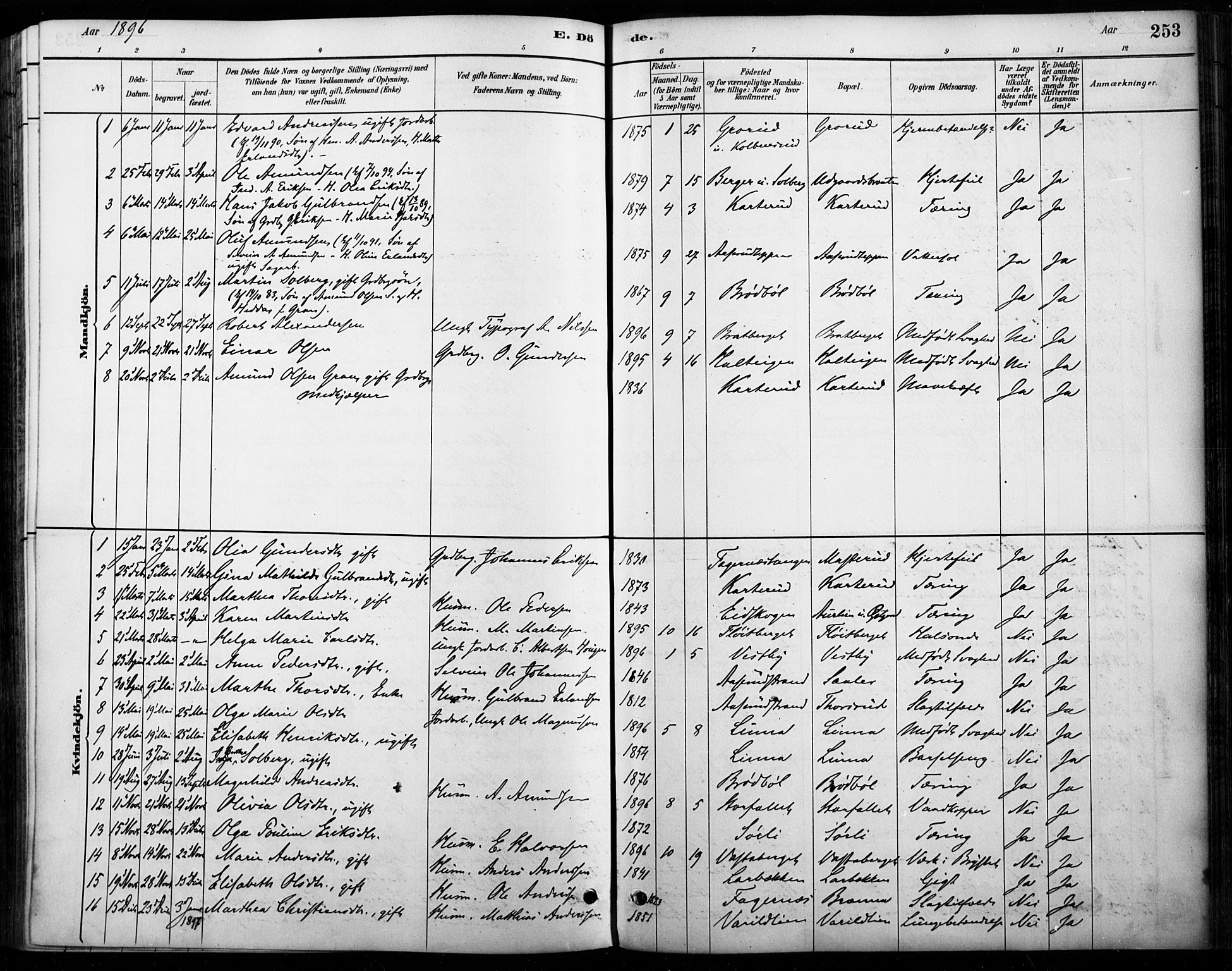 Vinger prestekontor, AV/SAH-PREST-024/H/Ha/Haa/L0015: Parish register (official) no. 15, 1881-1900, p. 253