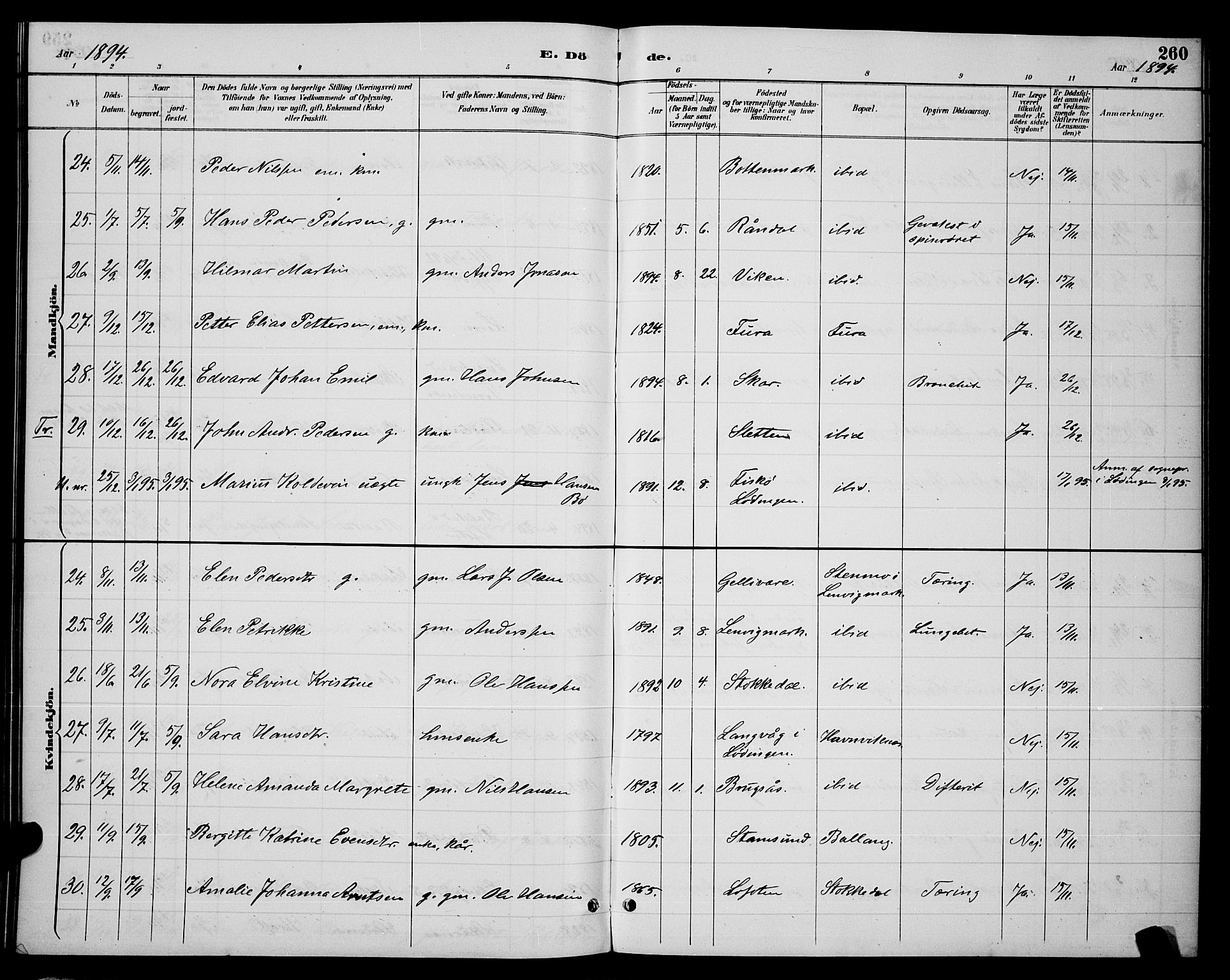 Ministerialprotokoller, klokkerbøker og fødselsregistre - Nordland, AV/SAT-A-1459/863/L0914: Parish register (copy) no. 863C04, 1886-1897, p. 260