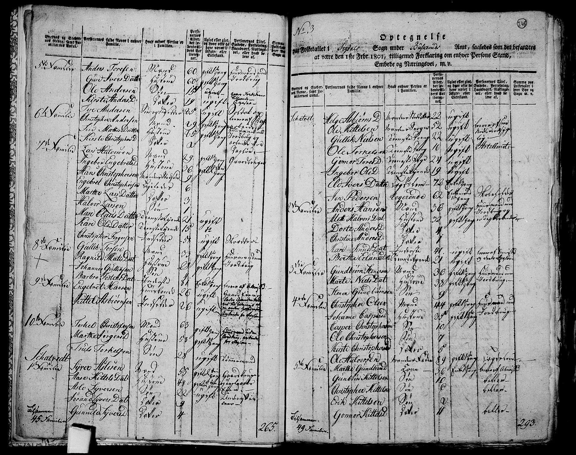 RA, 1801 census for 0621P Sigdal, 1801, p. 247b-248a