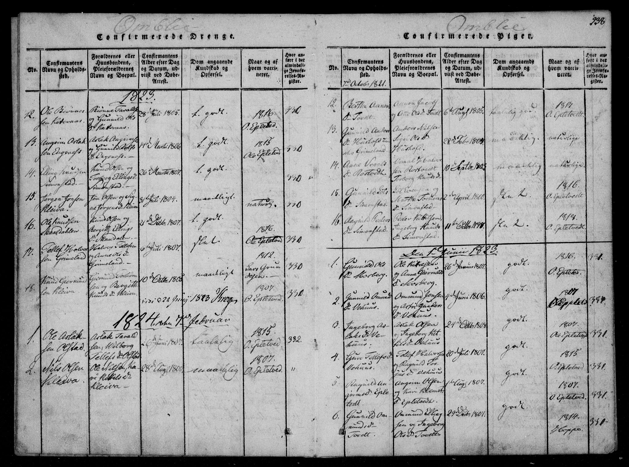 Åmli sokneprestkontor, SAK/1111-0050/F/Fa/Fac/L0006: Parish register (official) no. A 6, 1816-1829, p. 238