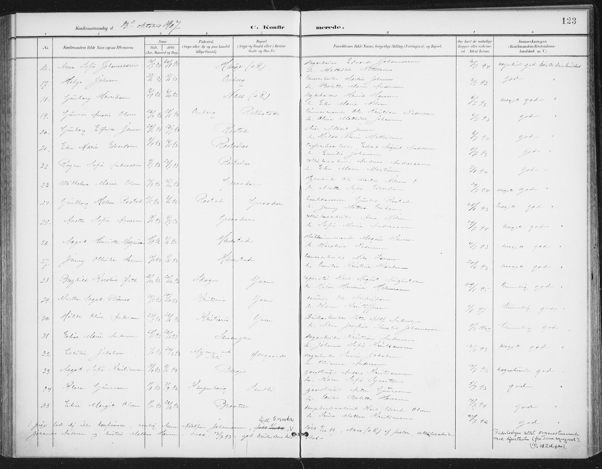 Rolvsøy prestekontor Kirkebøker, AV/SAO-A-2004/F/Fa/L0001: Parish register (official) no. 1, 1901-1909, p. 123