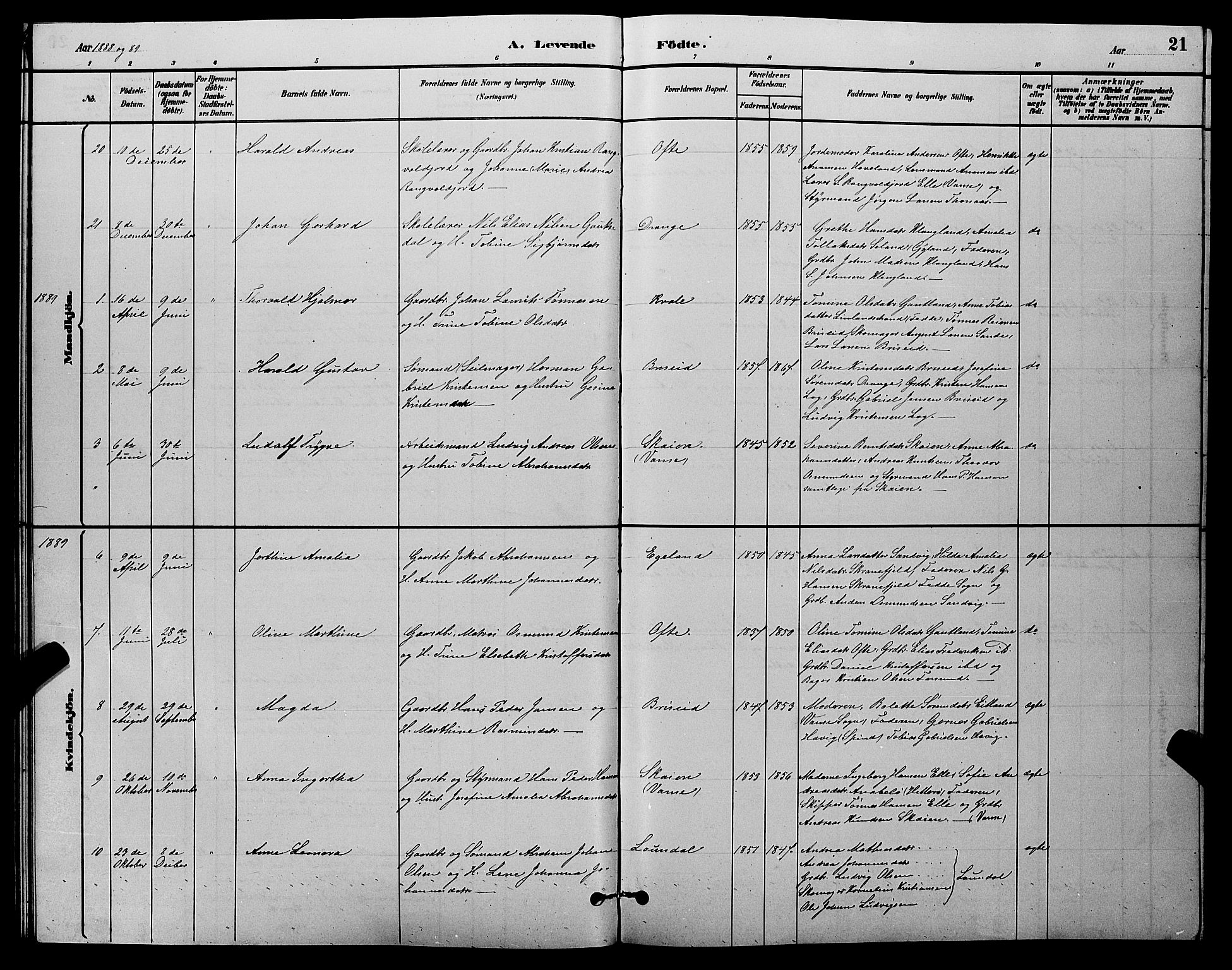 Herad sokneprestkontor, AV/SAK-1111-0018/F/Fb/Fba/L0004: Parish register (copy) no. B 4, 1882-1899, p. 21