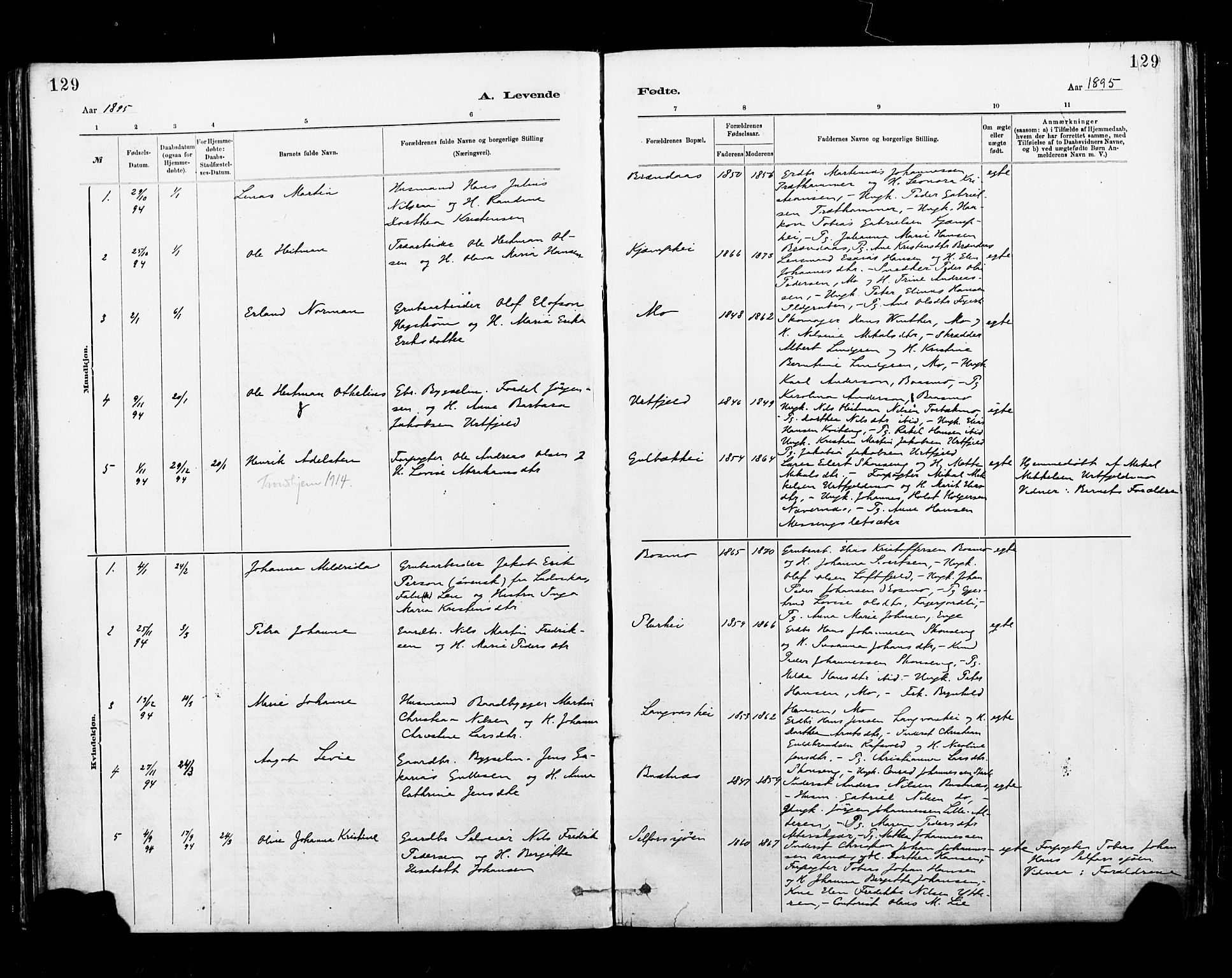 Ministerialprotokoller, klokkerbøker og fødselsregistre - Nordland, SAT/A-1459/827/L0400: Parish register (official) no. 827A12, 1883-1903, p. 129