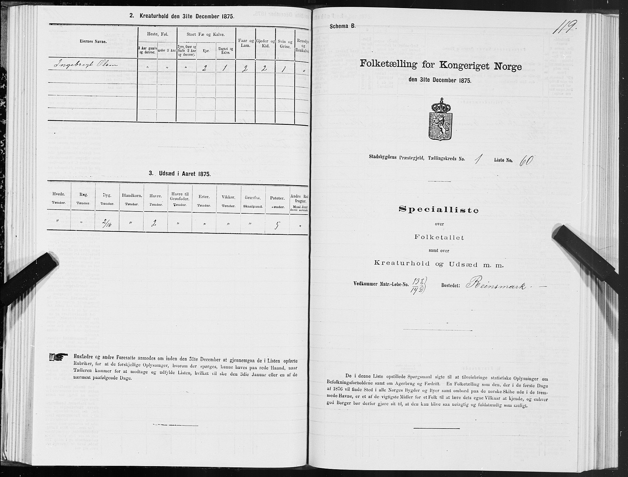 SAT, 1875 census for 1625P Stadsbygd, 1875, p. 1119