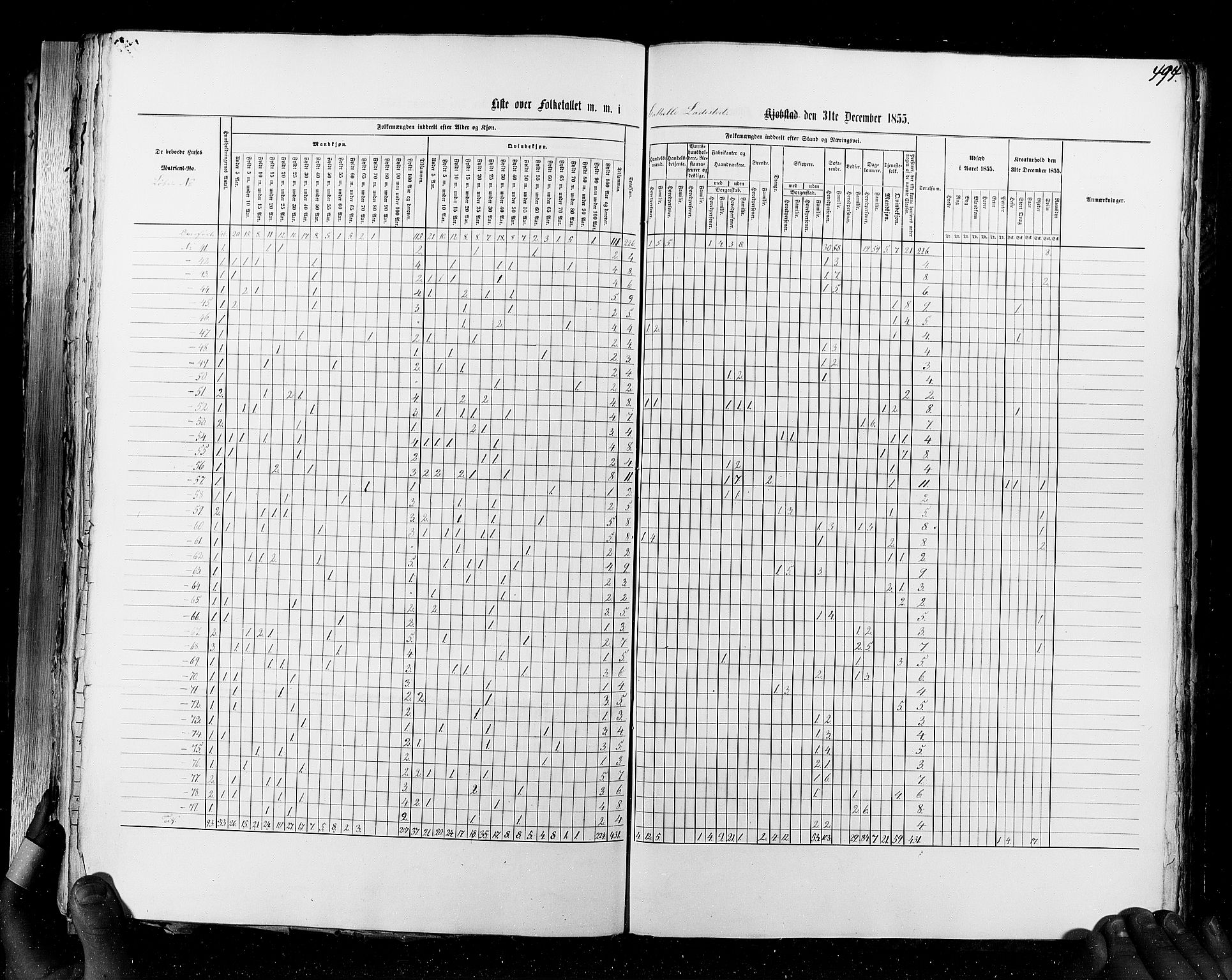 RA, Census 1855, vol. 7: Fredrikshald-Kragerø, 1855, p. 494