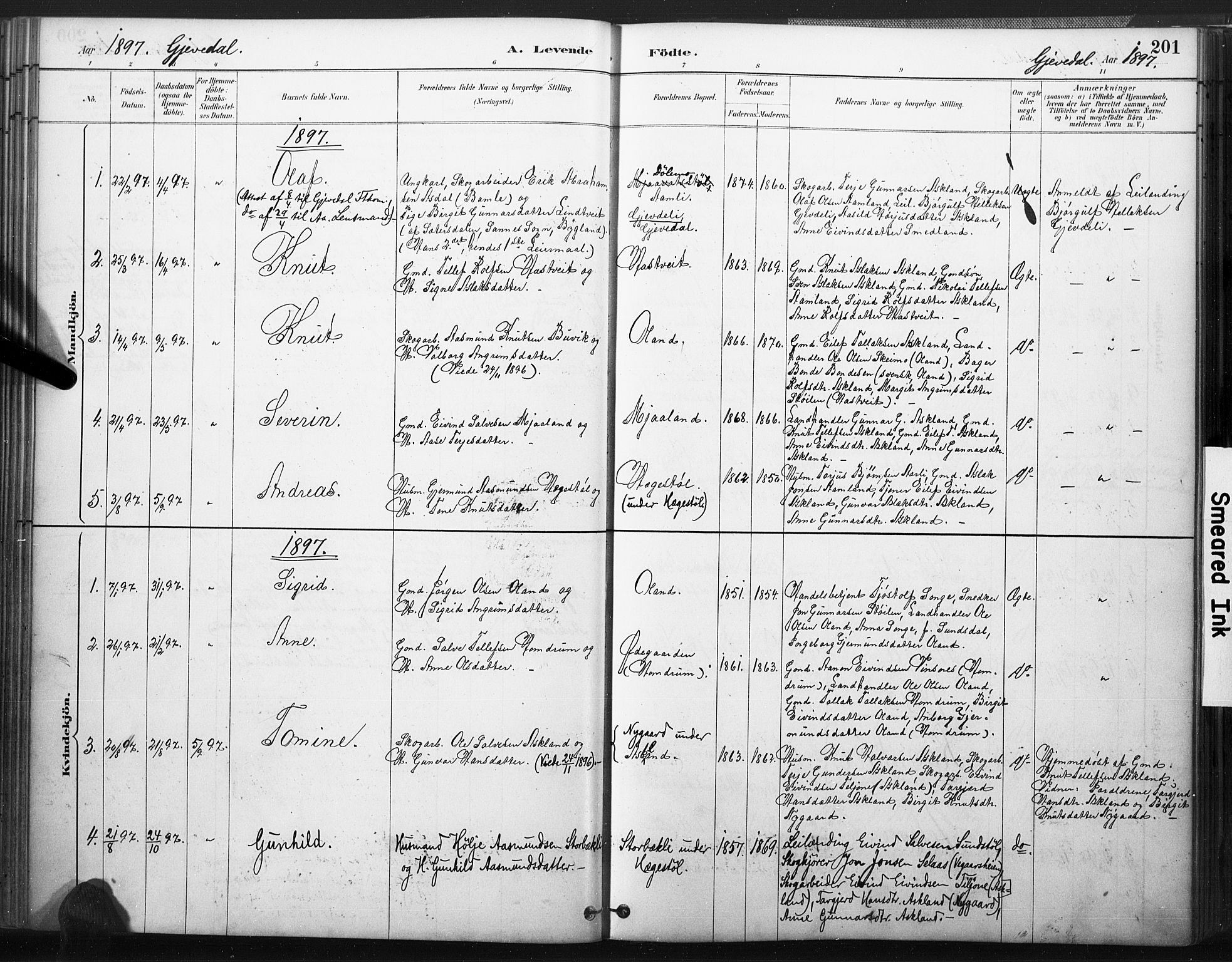 Åmli sokneprestkontor, SAK/1111-0050/F/Fa/Fac/L0010: Parish register (official) no. A 10 /2, 1885-1899, p. 201