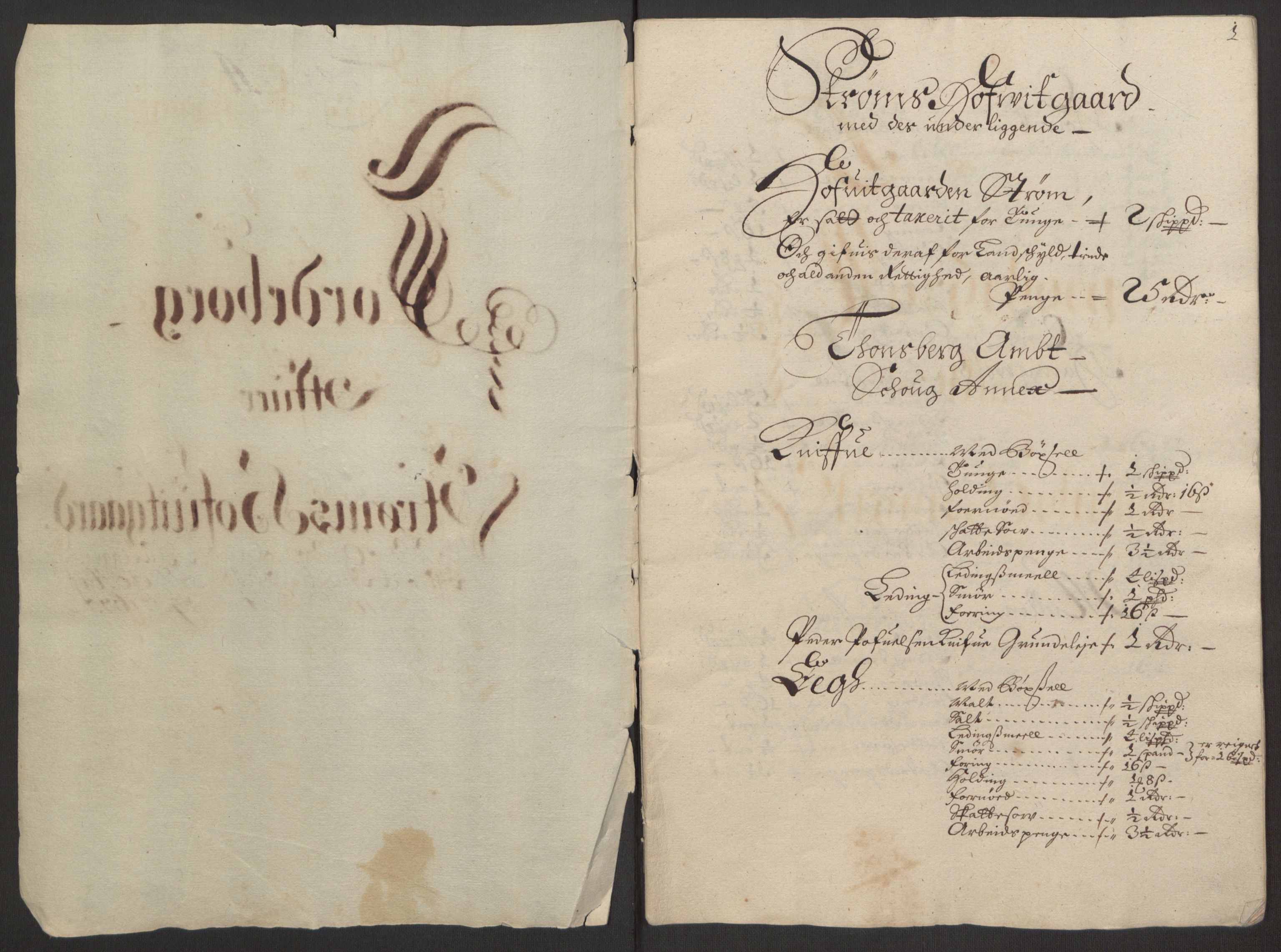 Rentekammeret inntil 1814, Reviderte regnskaper, Fogderegnskap, RA/EA-4092/R32/L1844: Fogderegnskap Jarlsberg grevskap, 1674-1675, p. 387