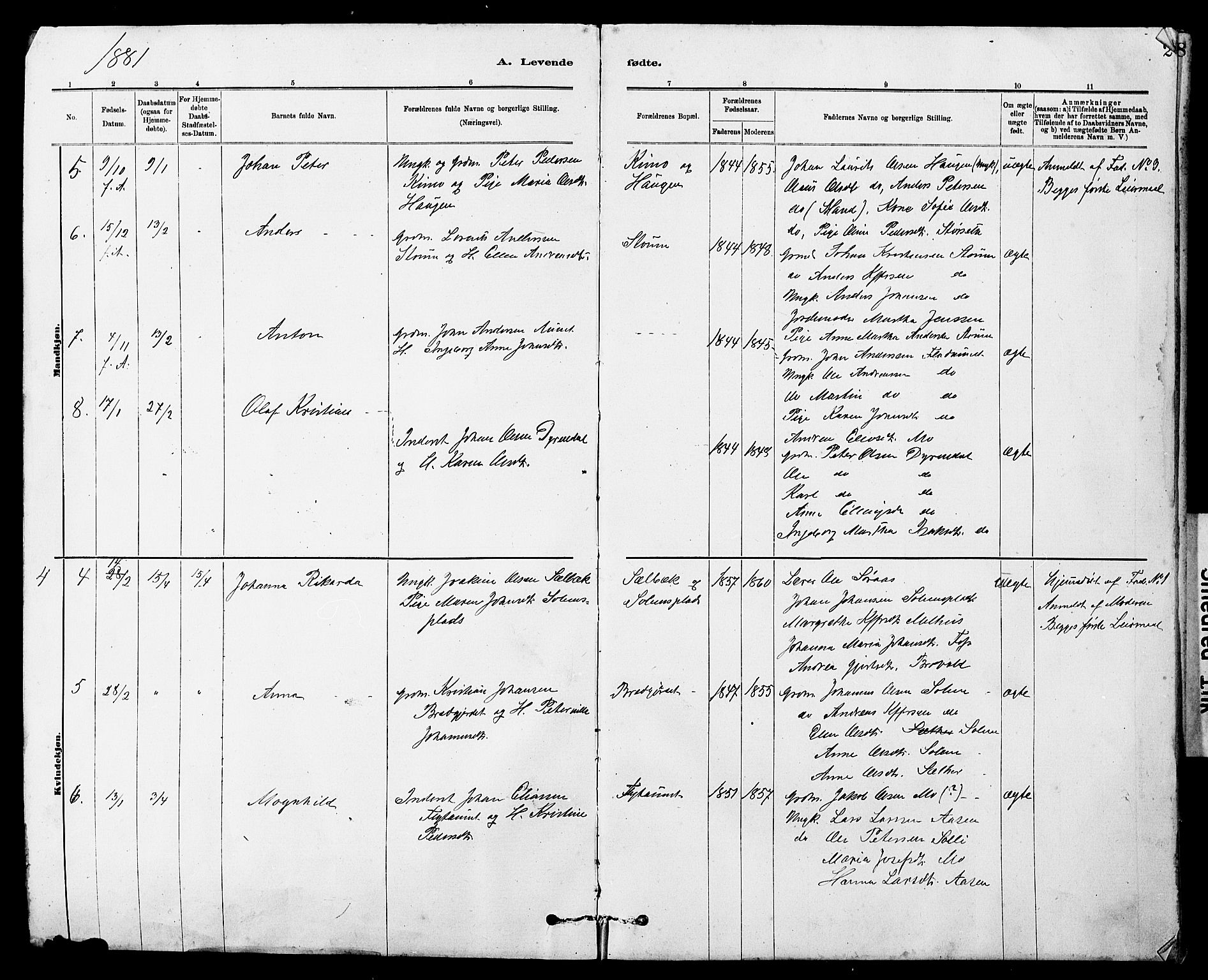 Ministerialprotokoller, klokkerbøker og fødselsregistre - Sør-Trøndelag, SAT/A-1456/647/L0636: Parish register (copy) no. 647C01, 1881-1884, p. 2