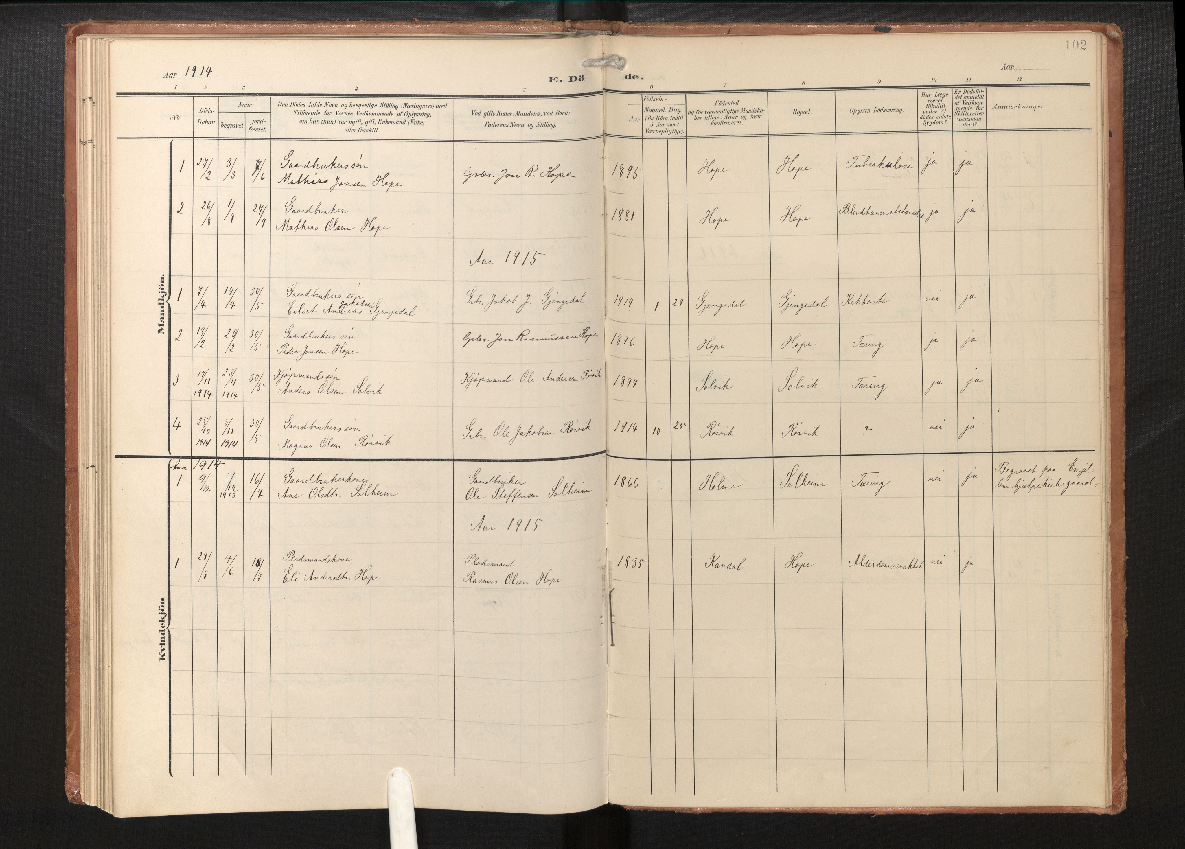 Gloppen sokneprestembete, SAB/A-80101/H/Haa/Haae/L0002: Parish register (official) no. E 2, 1904-1925, p. 101b-102a