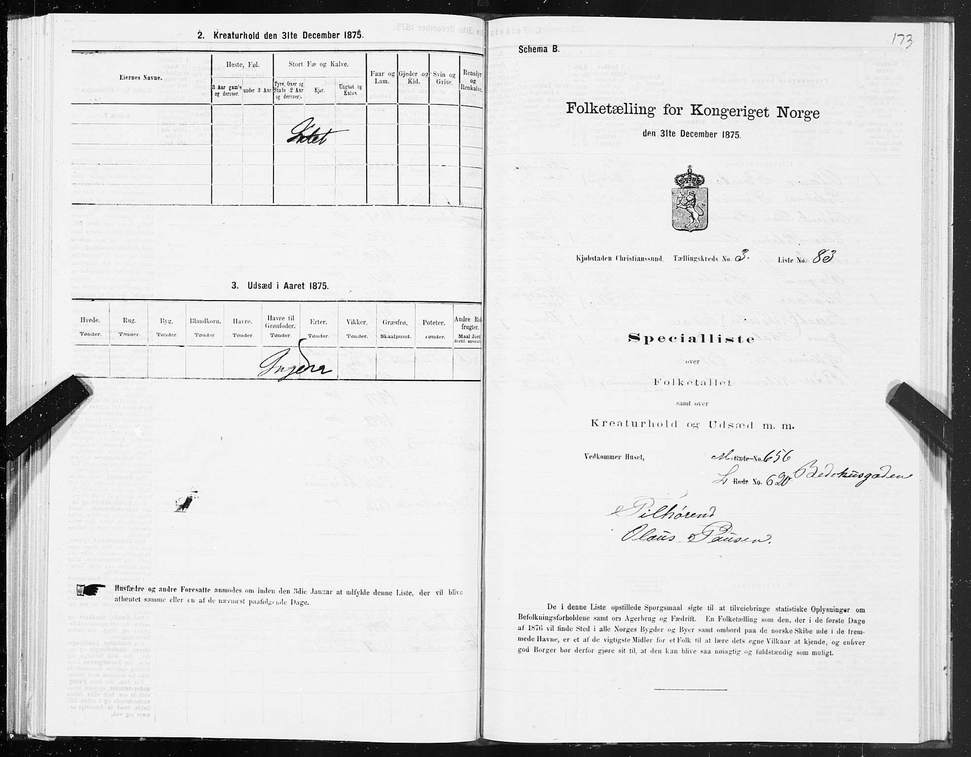 SAT, 1875 census for 1503B Kristiansund/Kristiansund, 1875, p. 3173