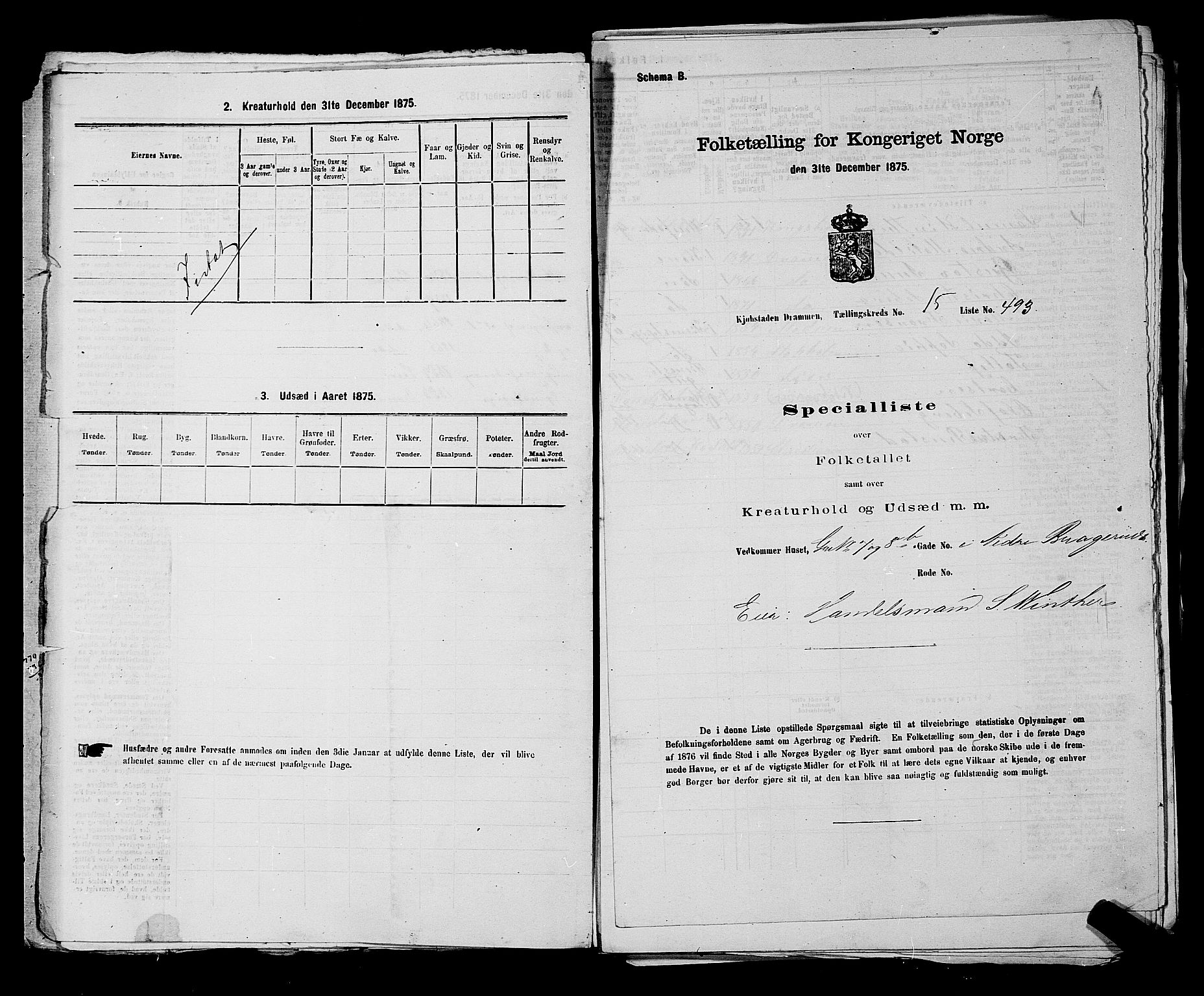 SAKO, 1875 census for 0602 Drammen, 1875, p. 1629