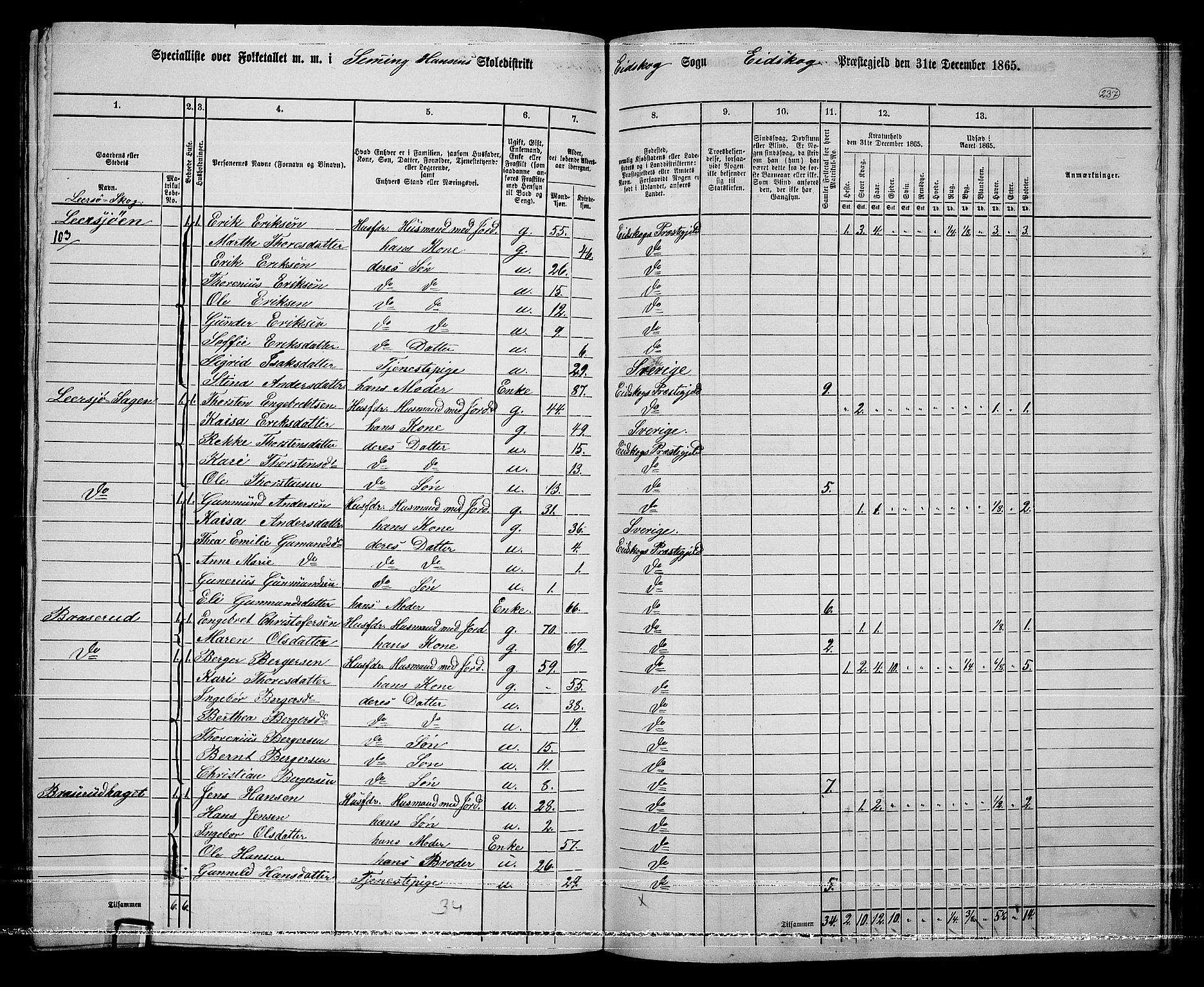 RA, 1865 census for Eidskog, 1865, p. 213