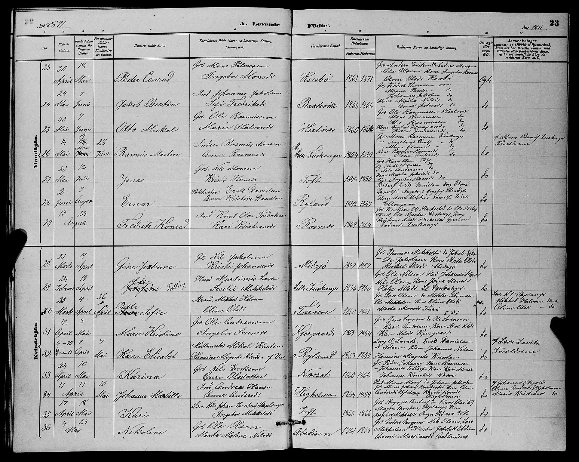Herdla Sokneprestembete, SAB/A-75701/H/Hab: Parish register (copy) no. A 3, 1889-1899, p. 23