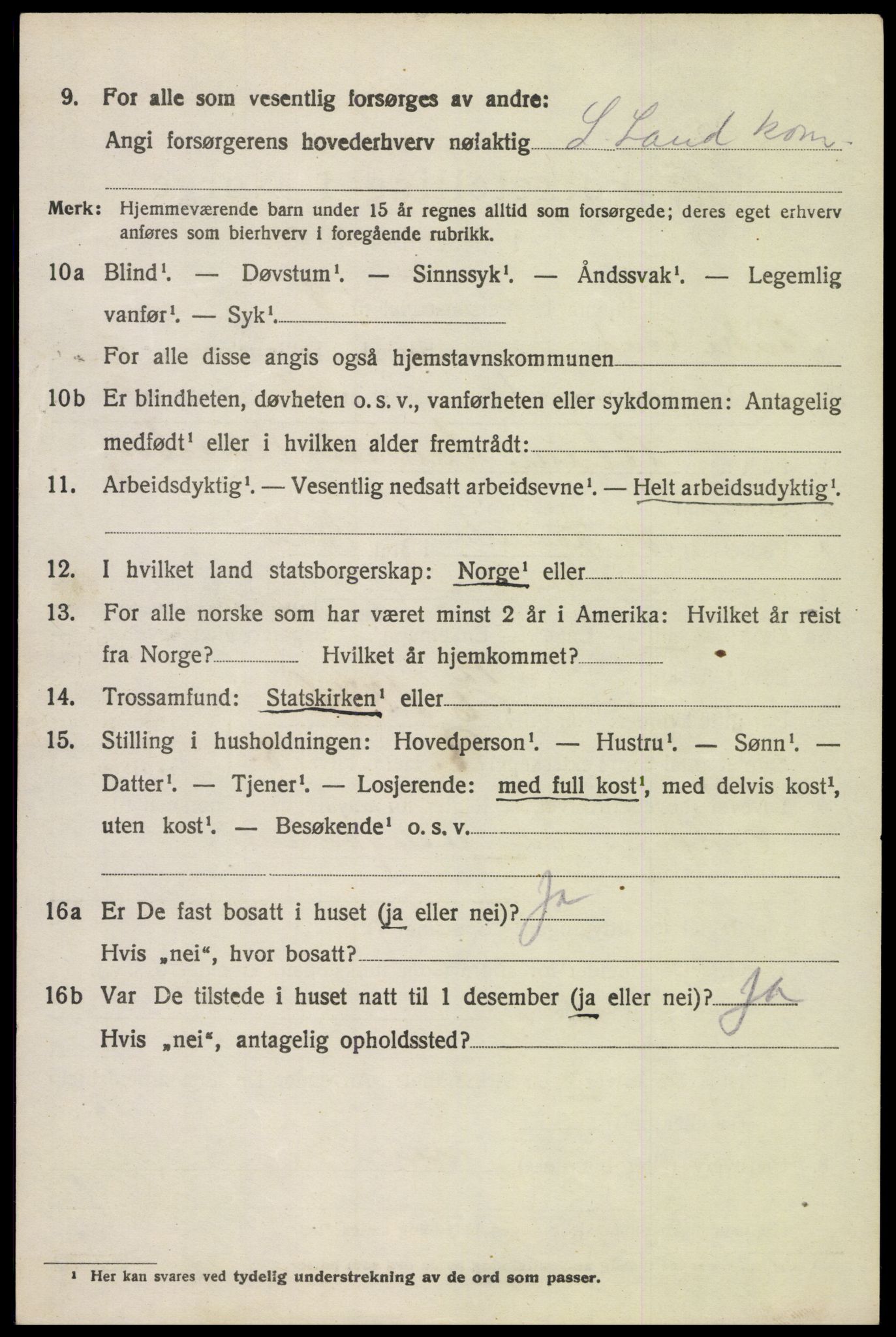 SAH, 1920 census for Søndre Land, 1920, p. 5002