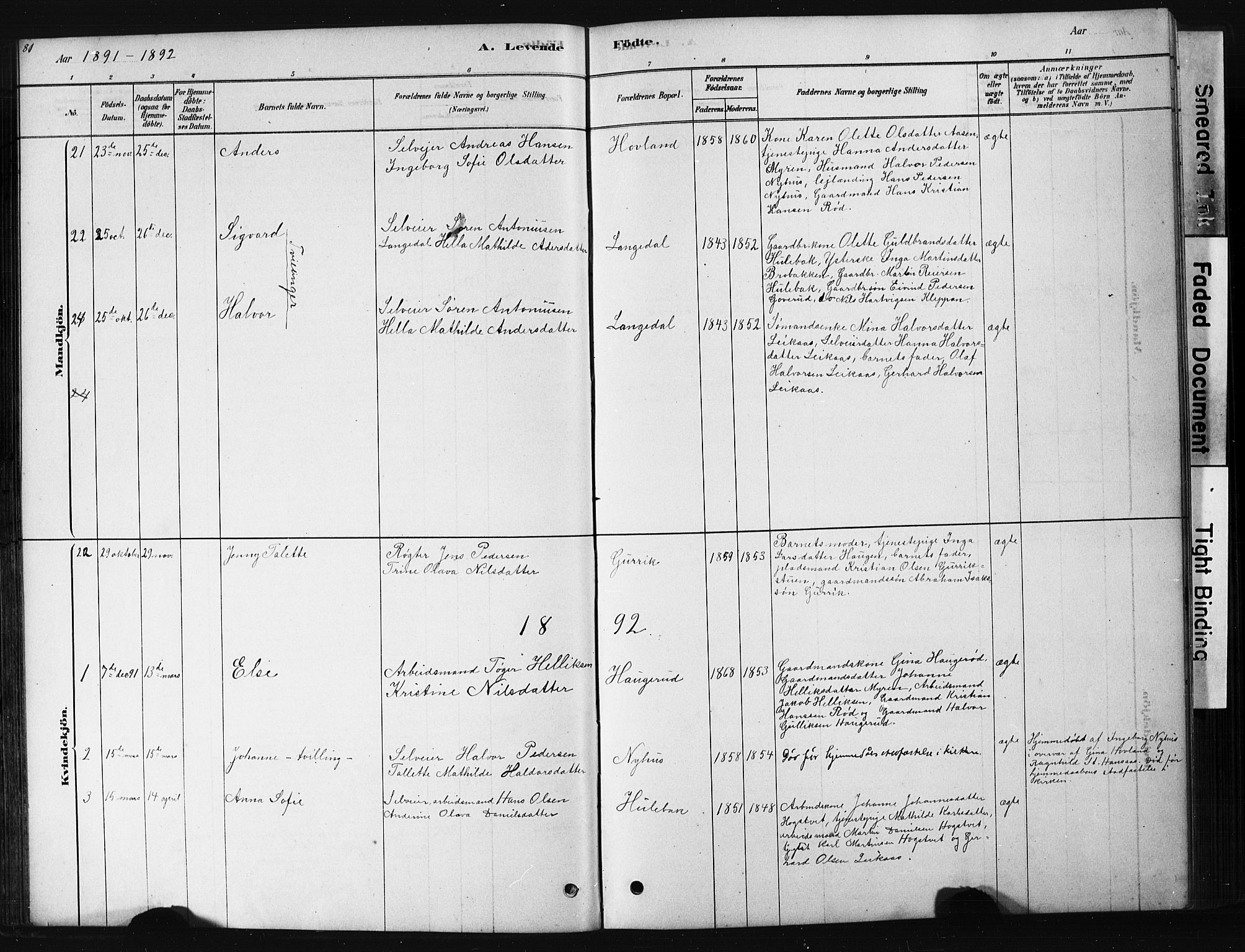 Hof kirkebøker, SAKO/A-64/G/Ga/L0004: Parish register (copy) no. I 4, 1878-1930, p. 81