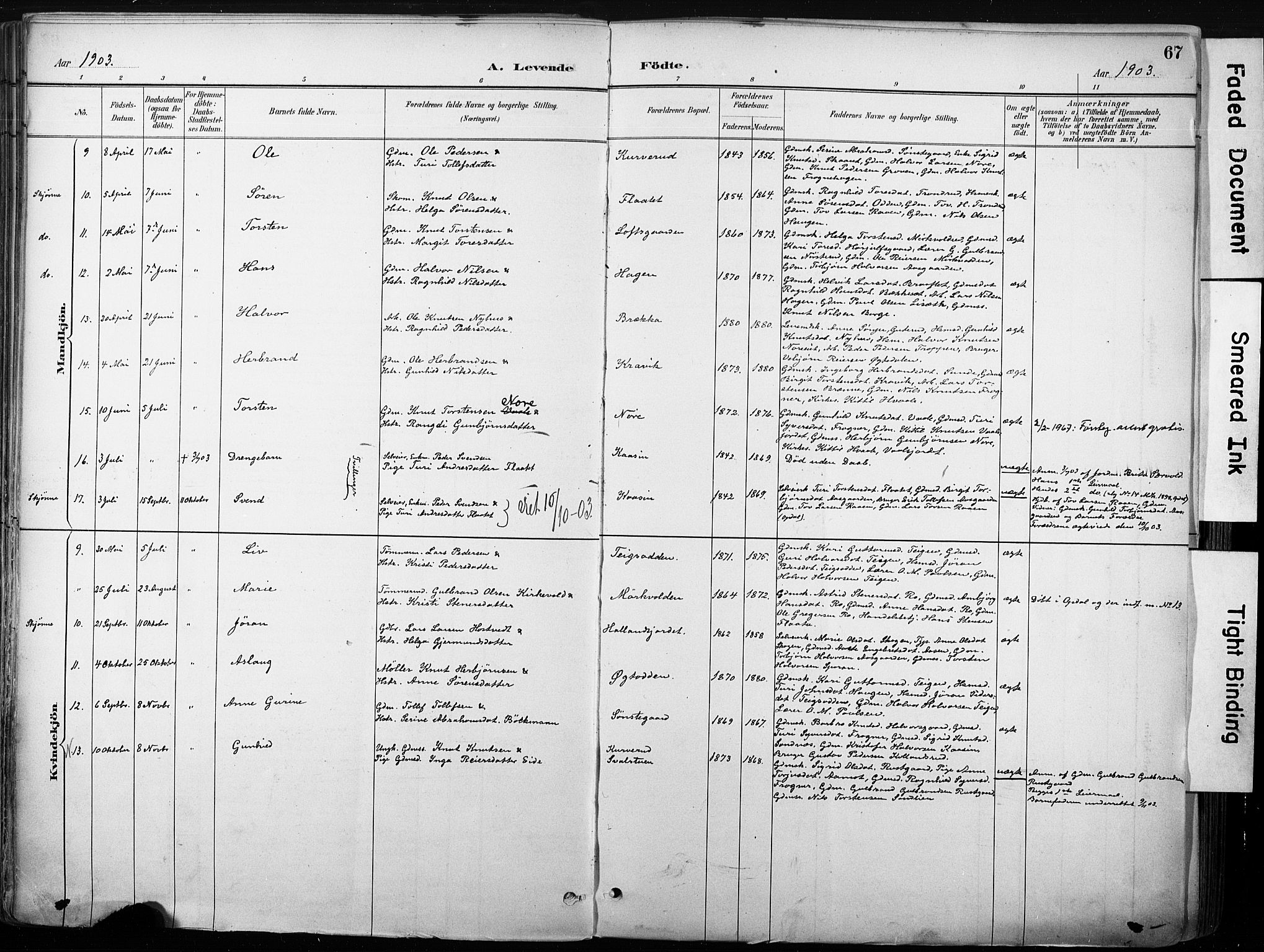 Nore kirkebøker, SAKO/A-238/F/Fb/L0002: Parish register (official) no. II 2, 1886-1906, p. 67