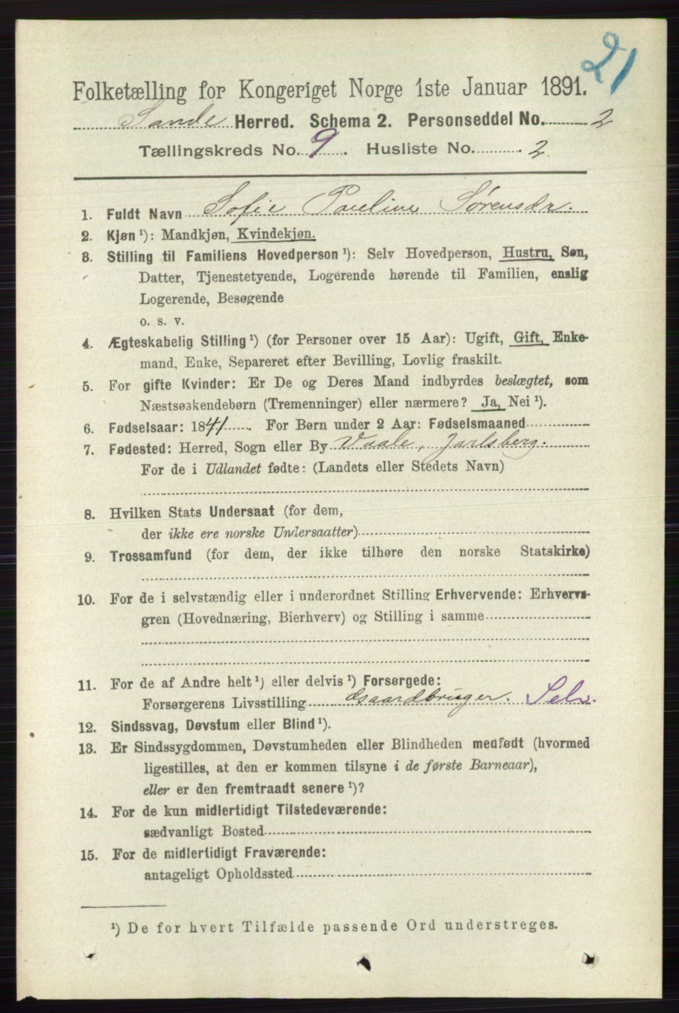 RA, 1891 census for 0713 Sande, 1891, p. 3939