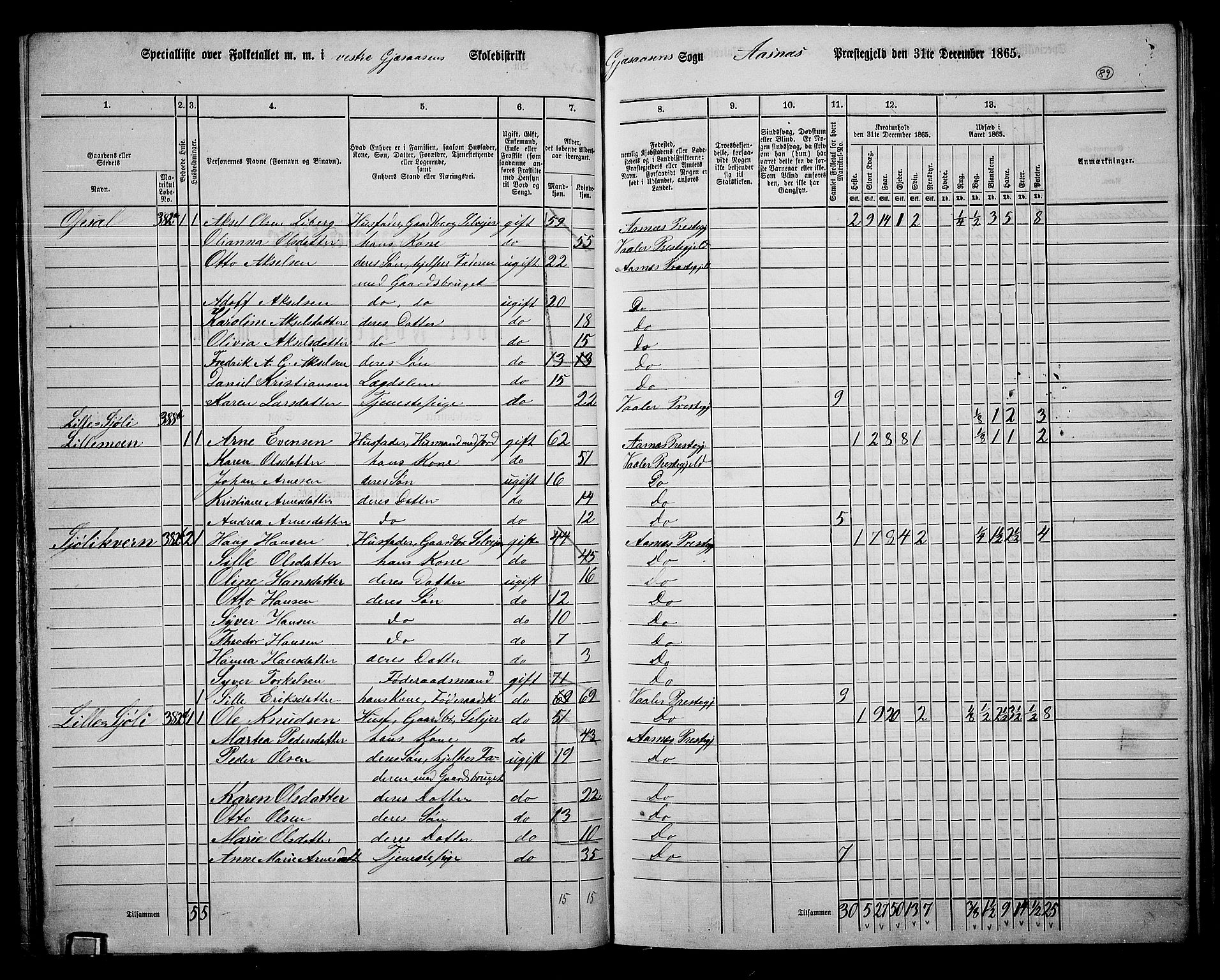 RA, 1865 census for Åsnes, 1865, p. 83