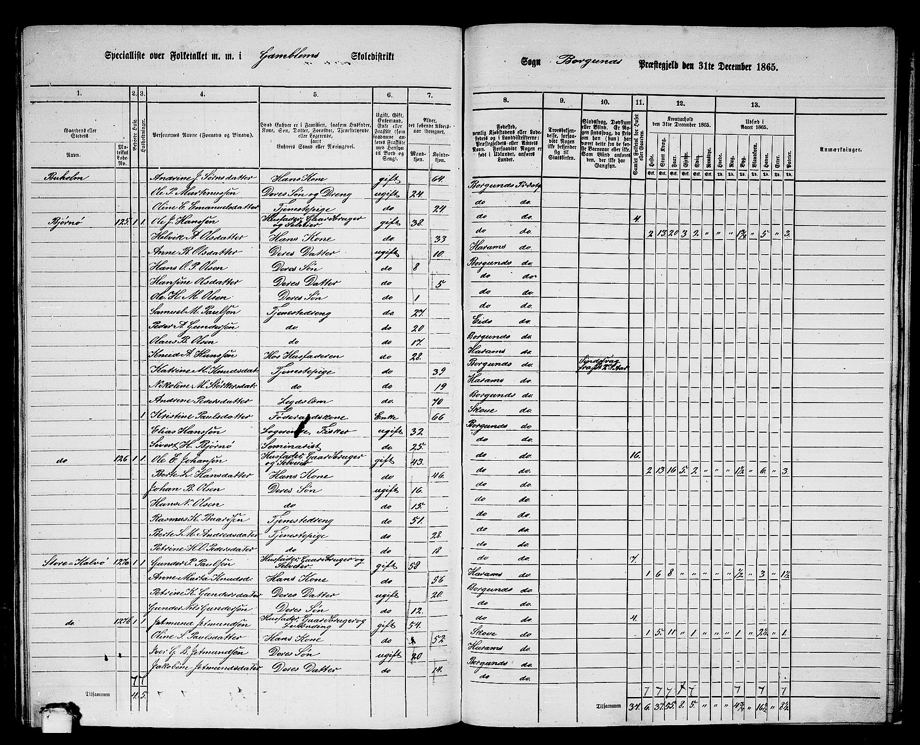 RA, 1865 census for Borgund, 1865, p. 237