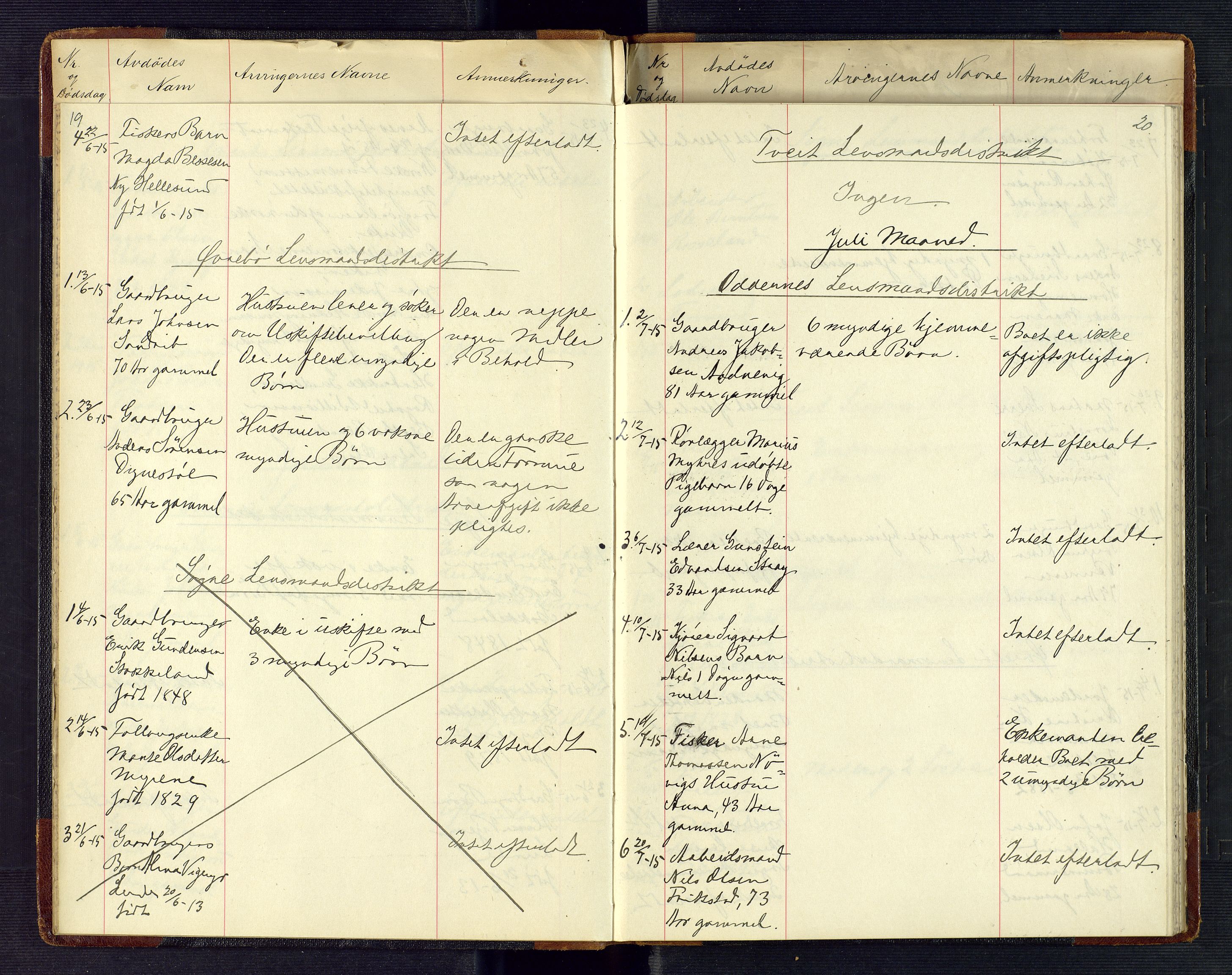 Torridal sorenskriveri, AV/SAK-1221-0012/H/Ha/L0002: Dødsfallsprotokoll med register nr. 2, 1915-1918, p. 19-20