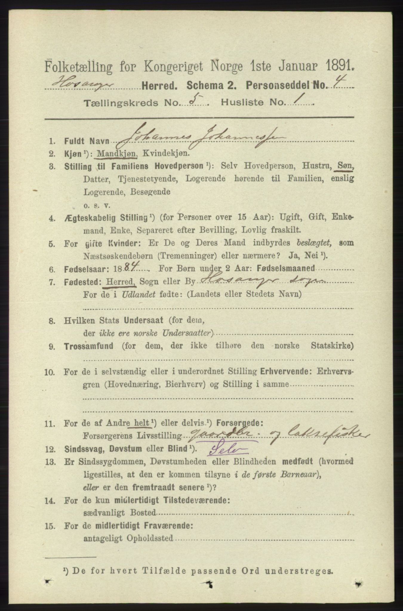 RA, 1891 census for 1253 Hosanger, 1891, p. 1787