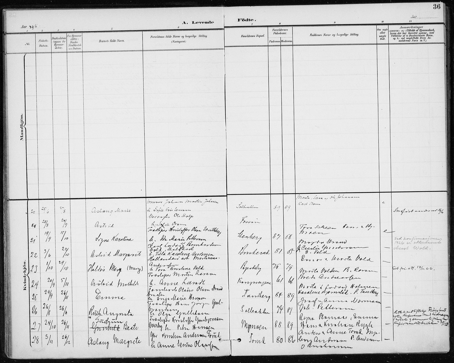 Modum kirkebøker, AV/SAKO-A-234/F/Fa/L0017: Parish register (official) no. 17, 1900-1915, p. 36