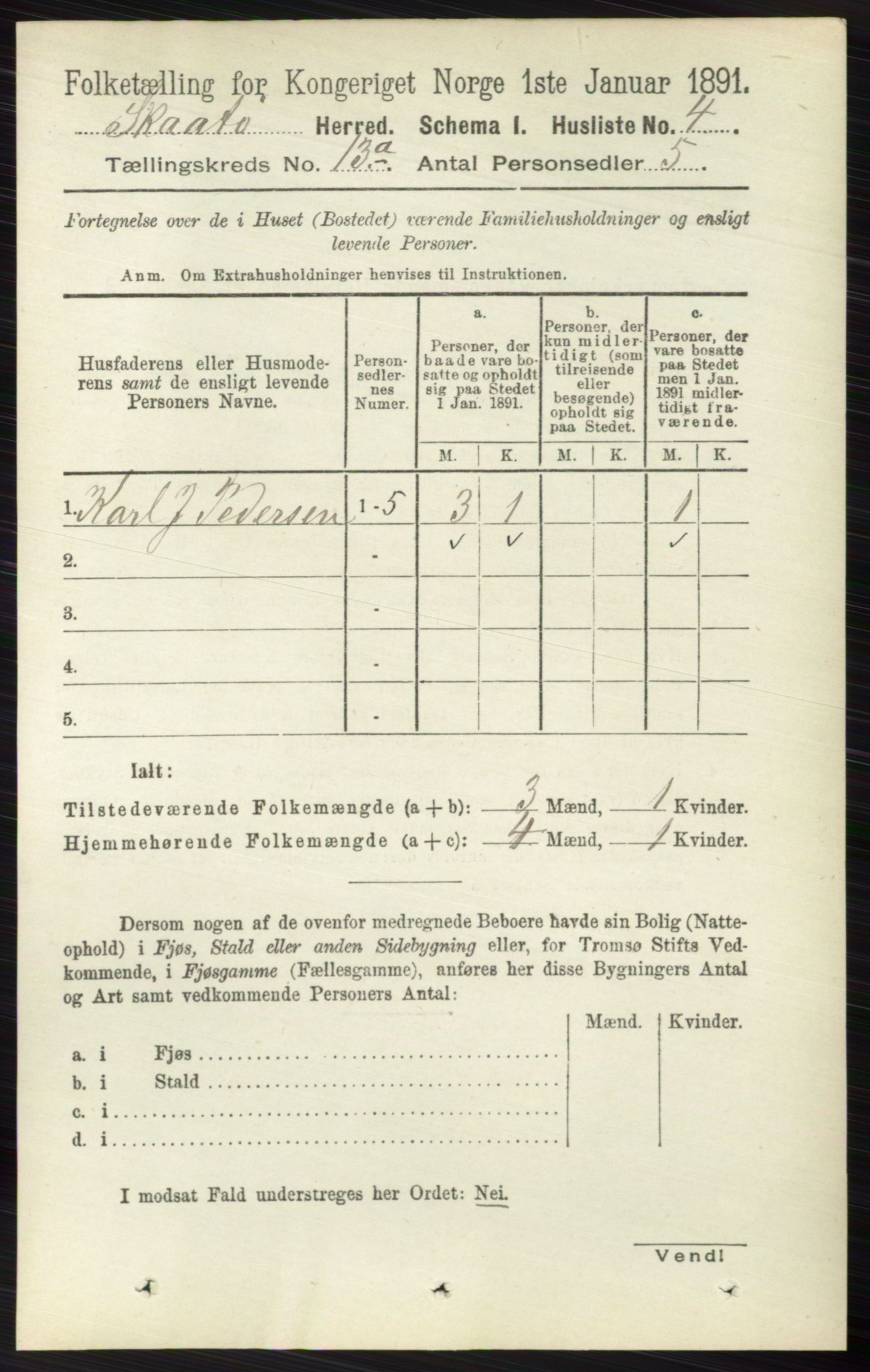 RA, 1891 census for 0815 Skåtøy, 1891, p. 4385