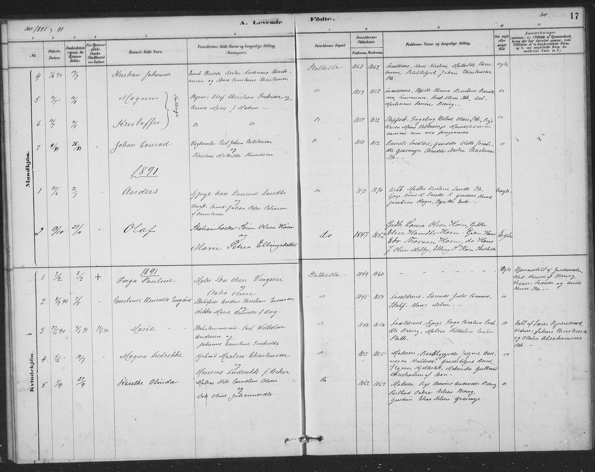 Bamble kirkebøker, AV/SAKO-A-253/F/Fb/L0001: Parish register (official) no. II 1, 1878-1899, p. 17