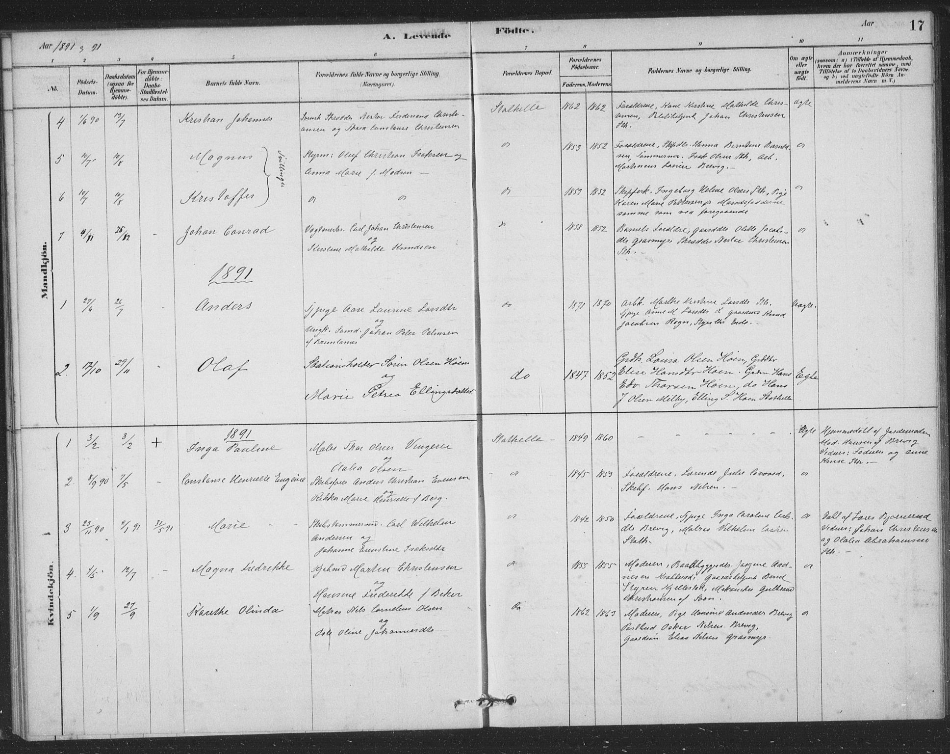 Bamble kirkebøker, SAKO/A-253/F/Fb/L0001: Parish register (official) no. II 1, 1878-1899, p. 17