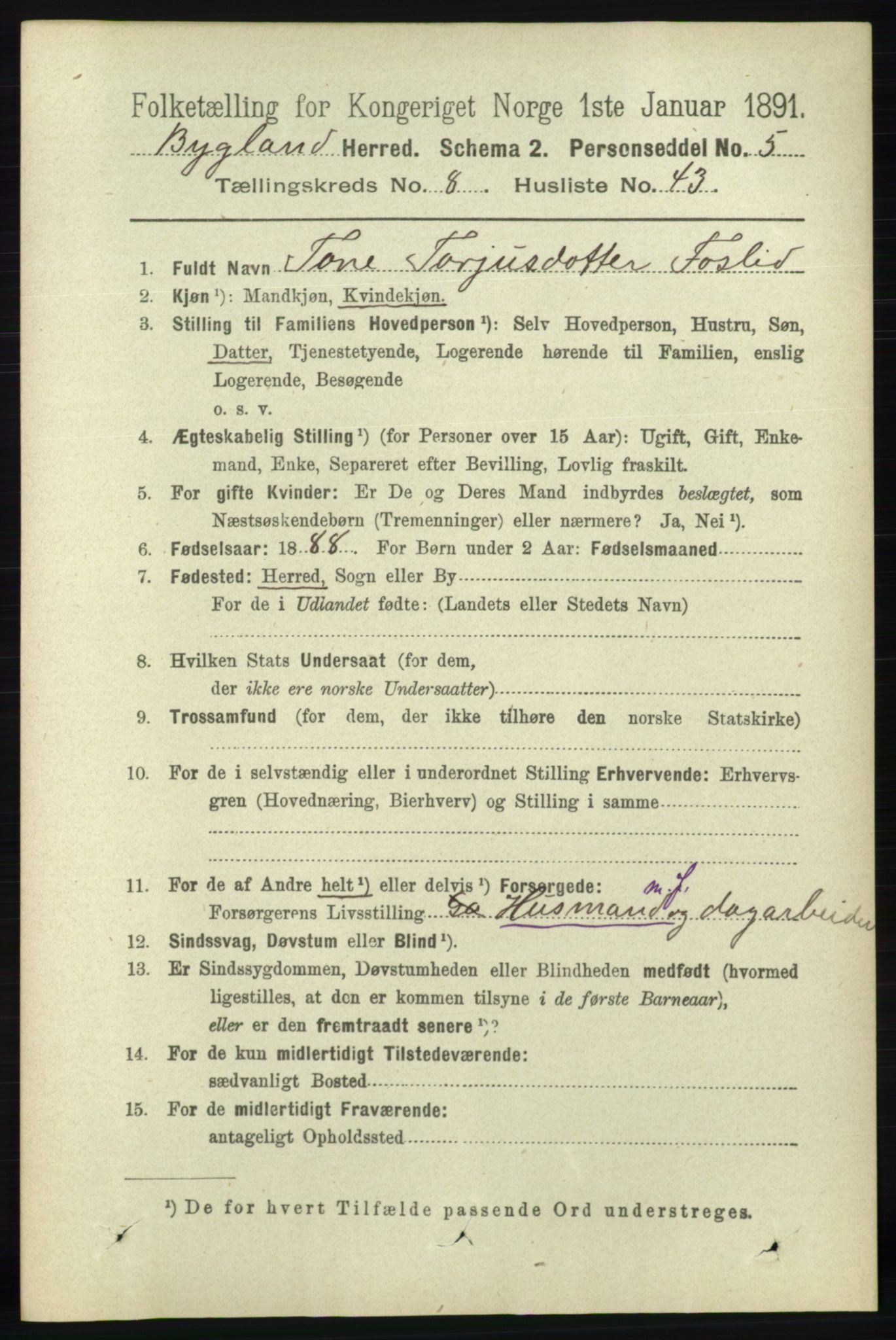 RA, 1891 census for 0938 Bygland, 1891, p. 2182