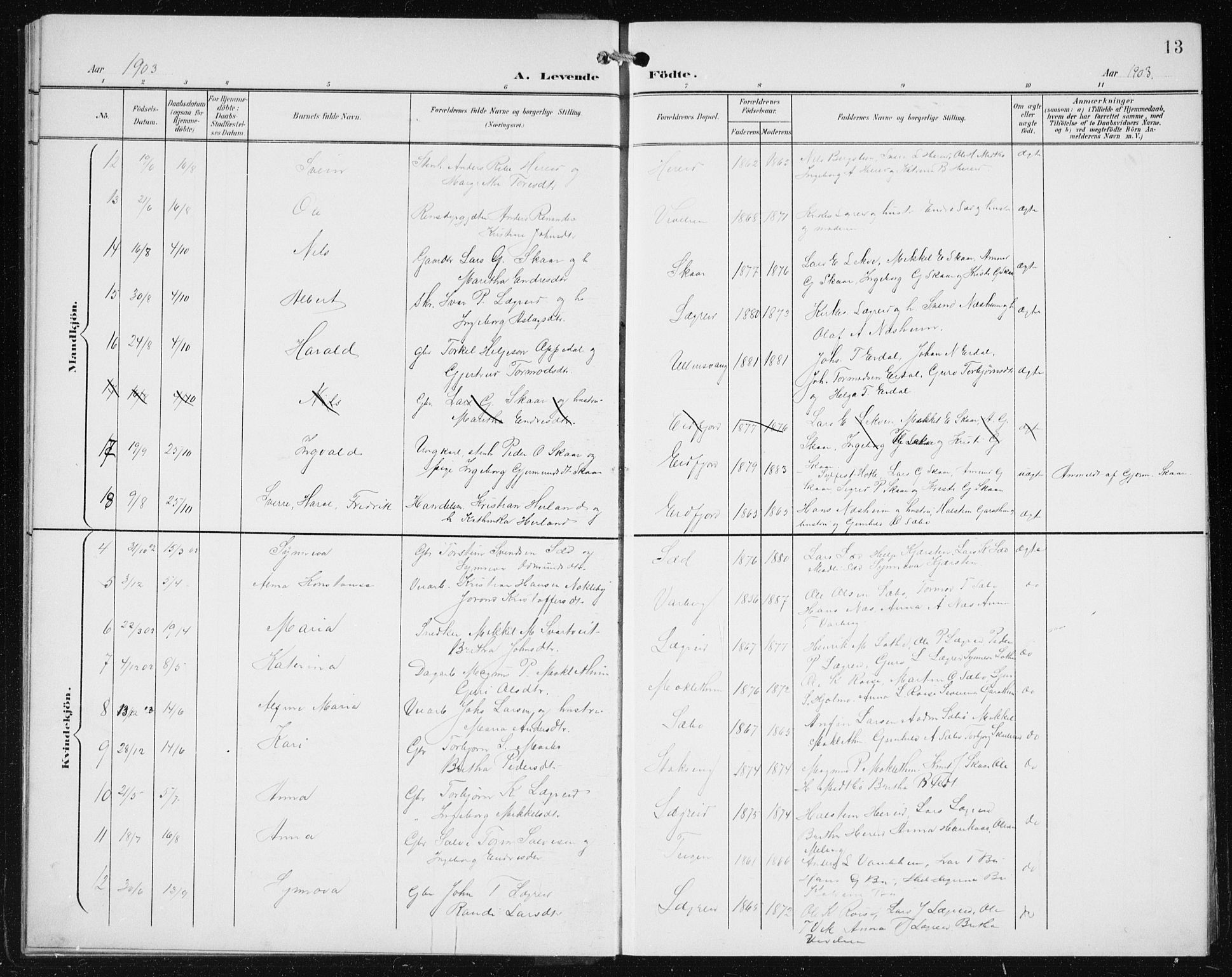 Ullensvang sokneprestembete, SAB/A-78701/H/Hab: Parish register (copy) no. C  3, 1899-1932, p. 13