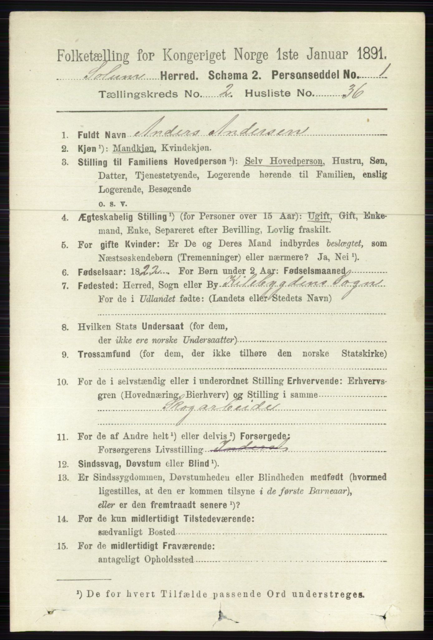 RA, 1891 census for 0818 Solum, 1891, p. 299