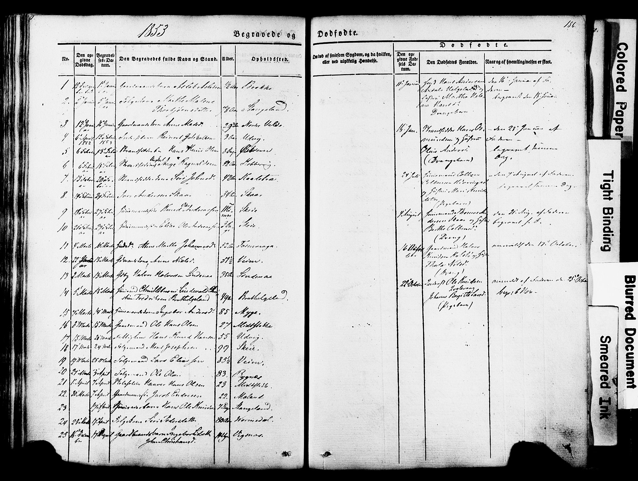 Avaldsnes sokneprestkontor, SAST/A -101851/H/Ha/Haa/L0007: Parish register (official) no. A 7, 1841-1853, p. 186