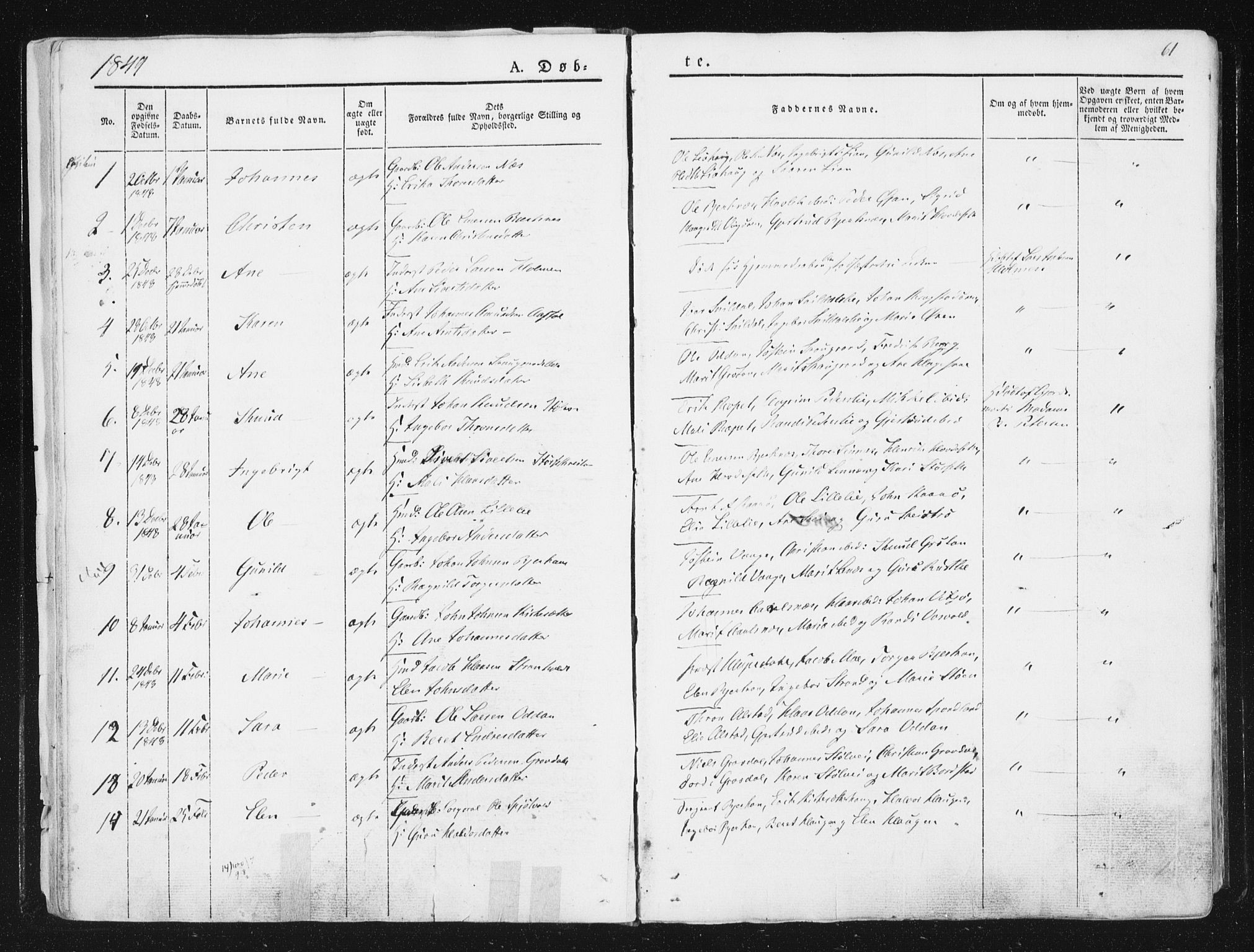 Ministerialprotokoller, klokkerbøker og fødselsregistre - Sør-Trøndelag, AV/SAT-A-1456/630/L0493: Parish register (official) no. 630A06, 1841-1851, p. 61