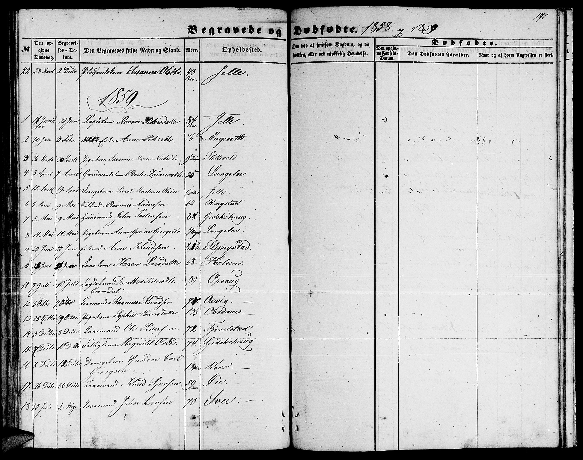 Ministerialprotokoller, klokkerbøker og fødselsregistre - Møre og Romsdal, AV/SAT-A-1454/520/L0291: Parish register (copy) no. 520C03, 1854-1881, p. 175