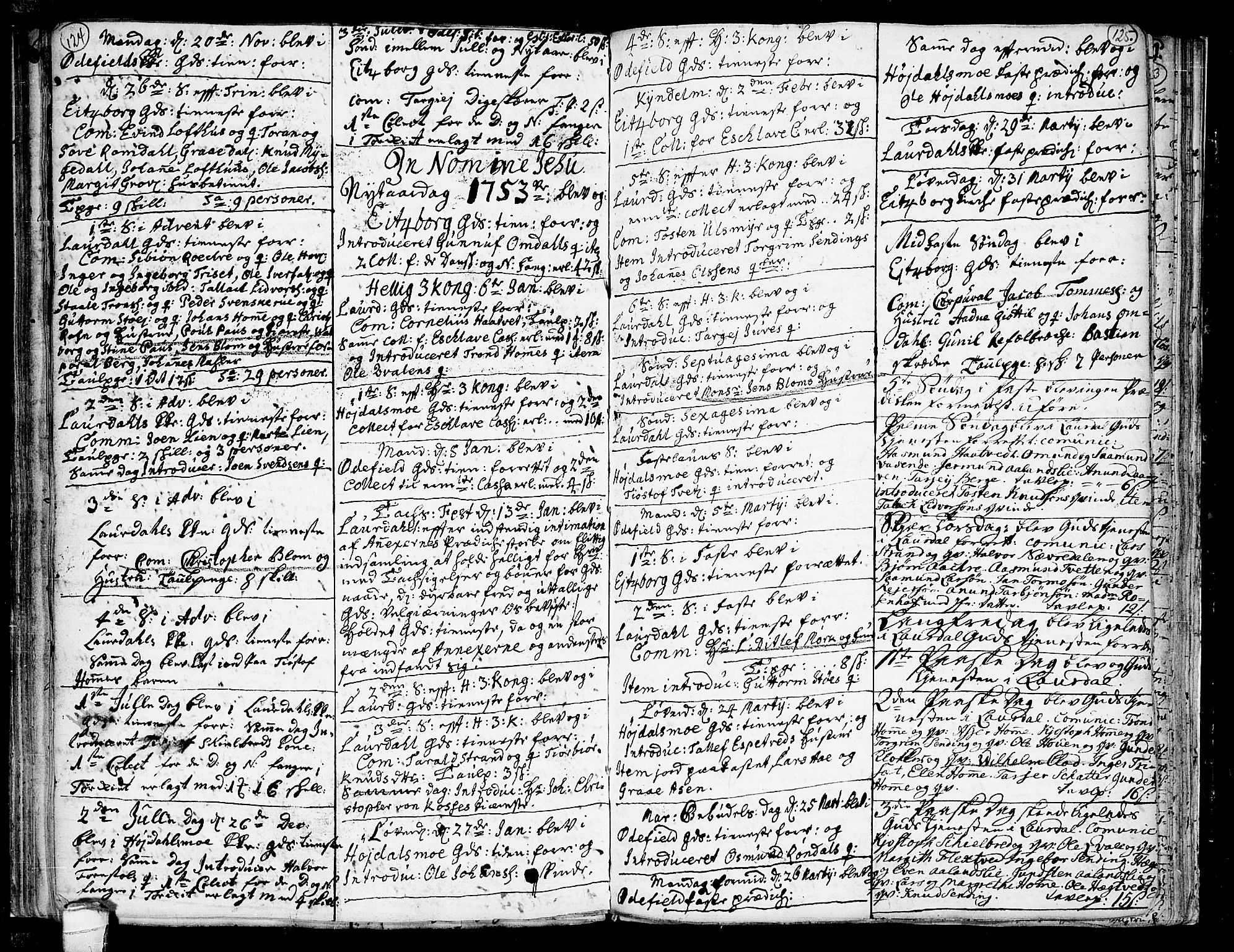 Lårdal kirkebøker, SAKO/A-284/F/Fa/L0002: Parish register (official) no. I 2, 1734-1754, p. 124-125